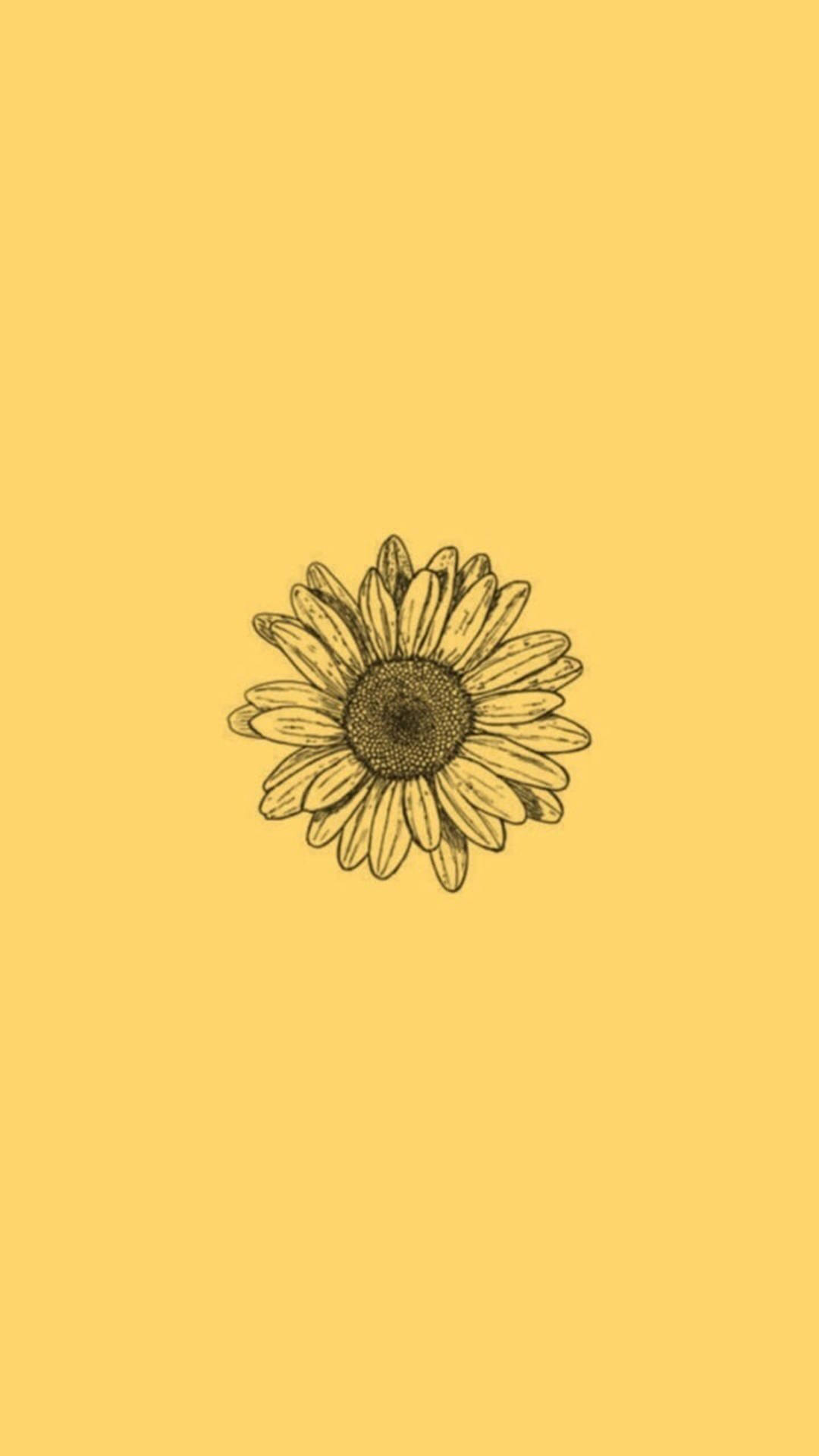 minimalist sunflower art, iPhone, warm yellow background, Full HD Phone Wallpaper