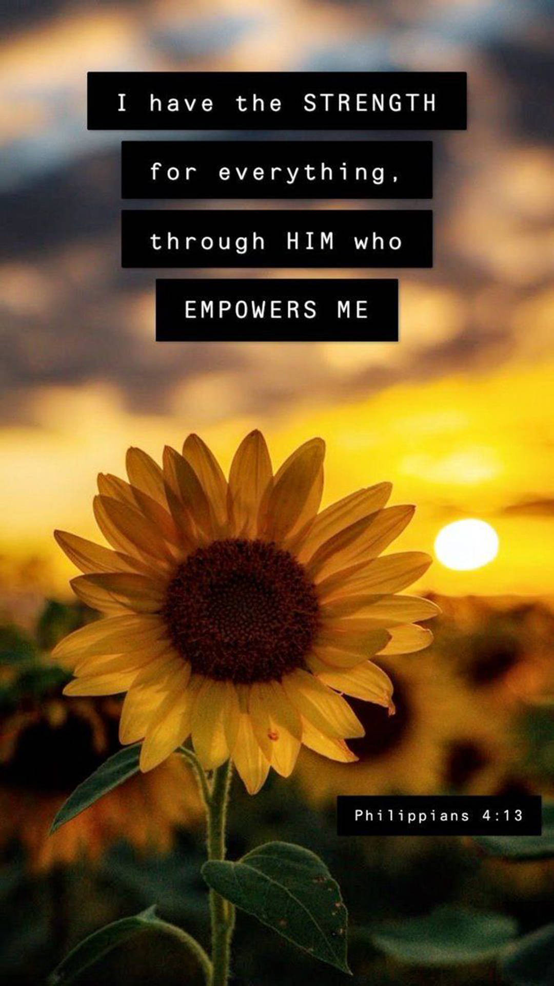 Philippians 4:13, sunflower, golden sunset sky, Full HD Phone Wallpaper