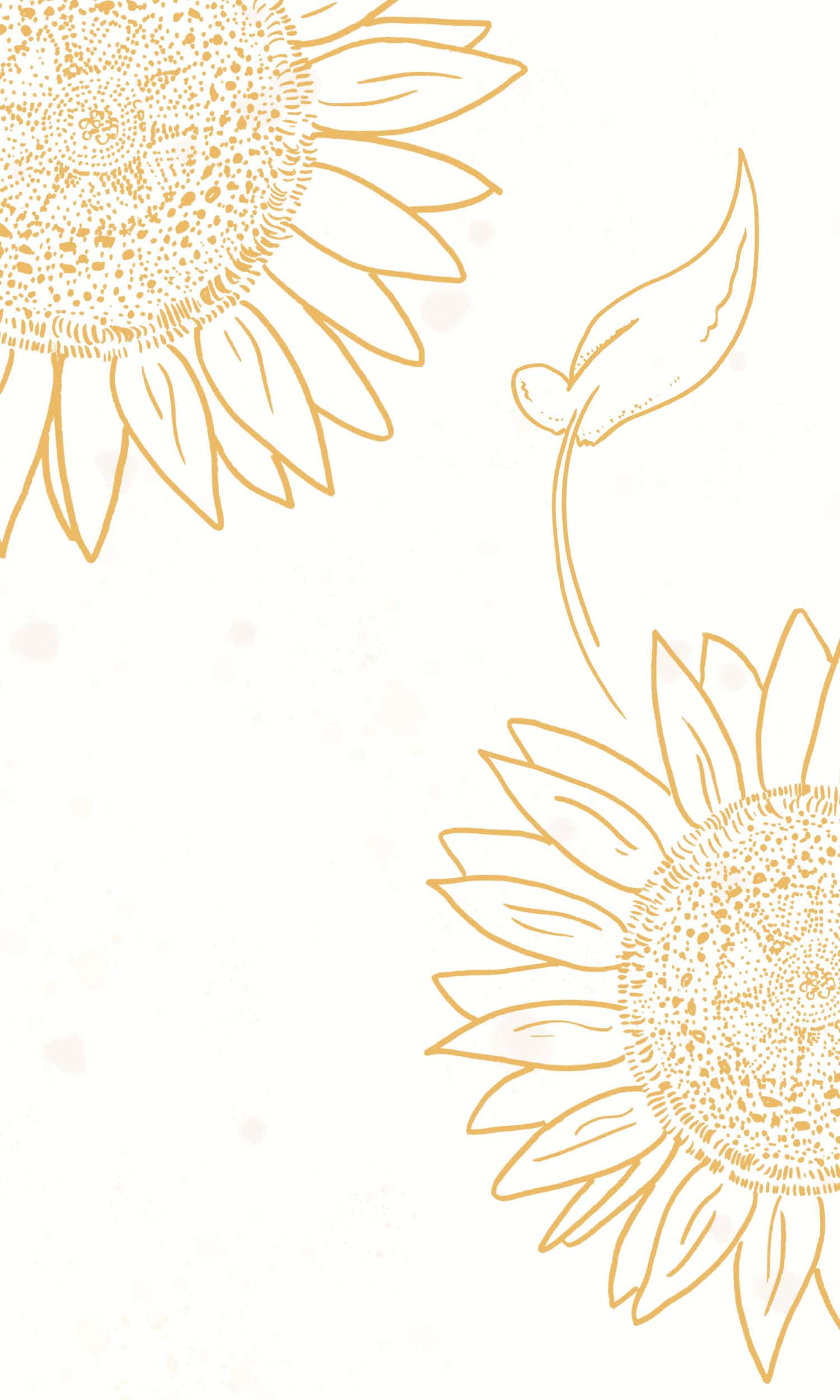 sunflower, golden sunflowers, detailed centers, Full HD Phone Wallpaper