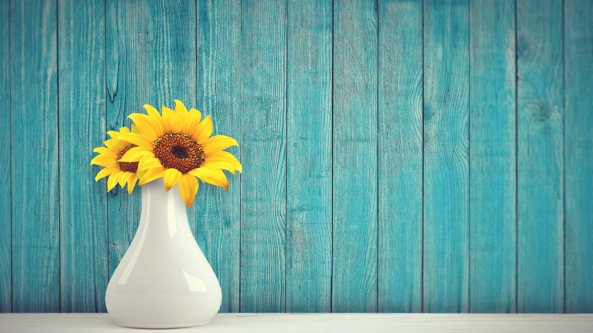 teal sunflower laptop, sunflower, yellow sunflowers, Full HD Desktop Wallpaper
