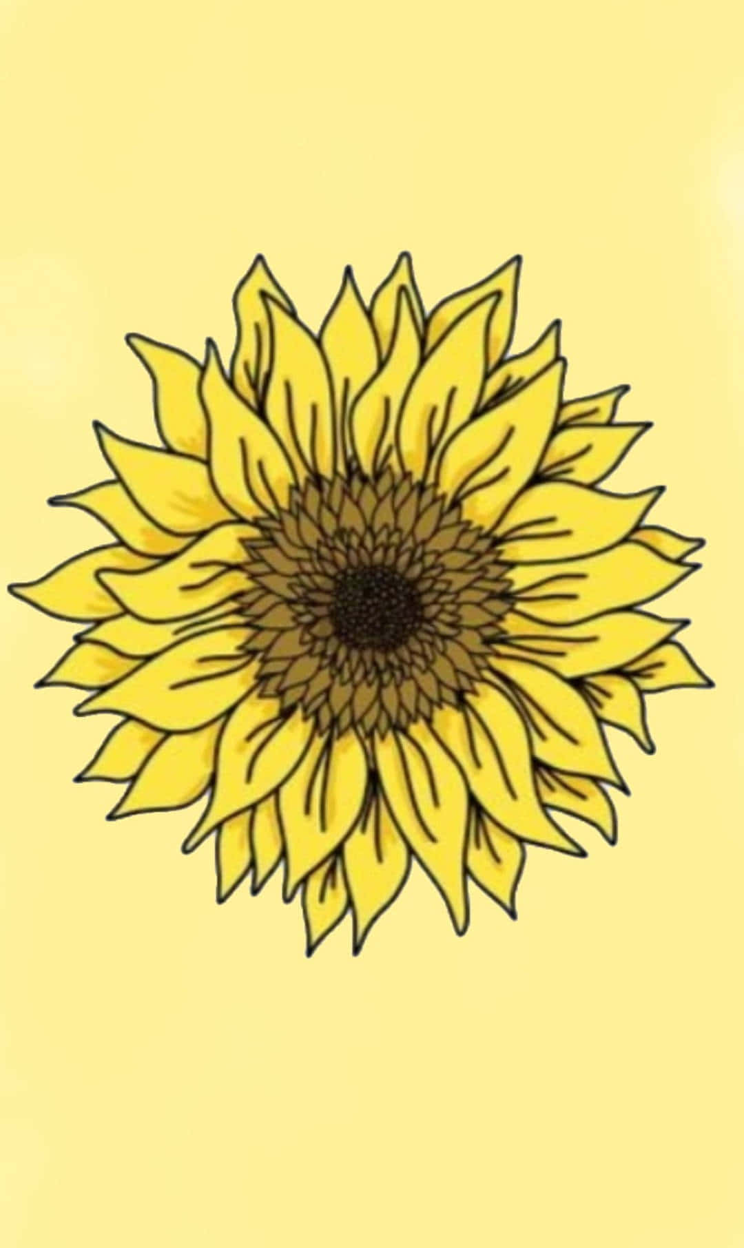 sunflower, vibrant yellow, dark center, HD Phone Wallpaper