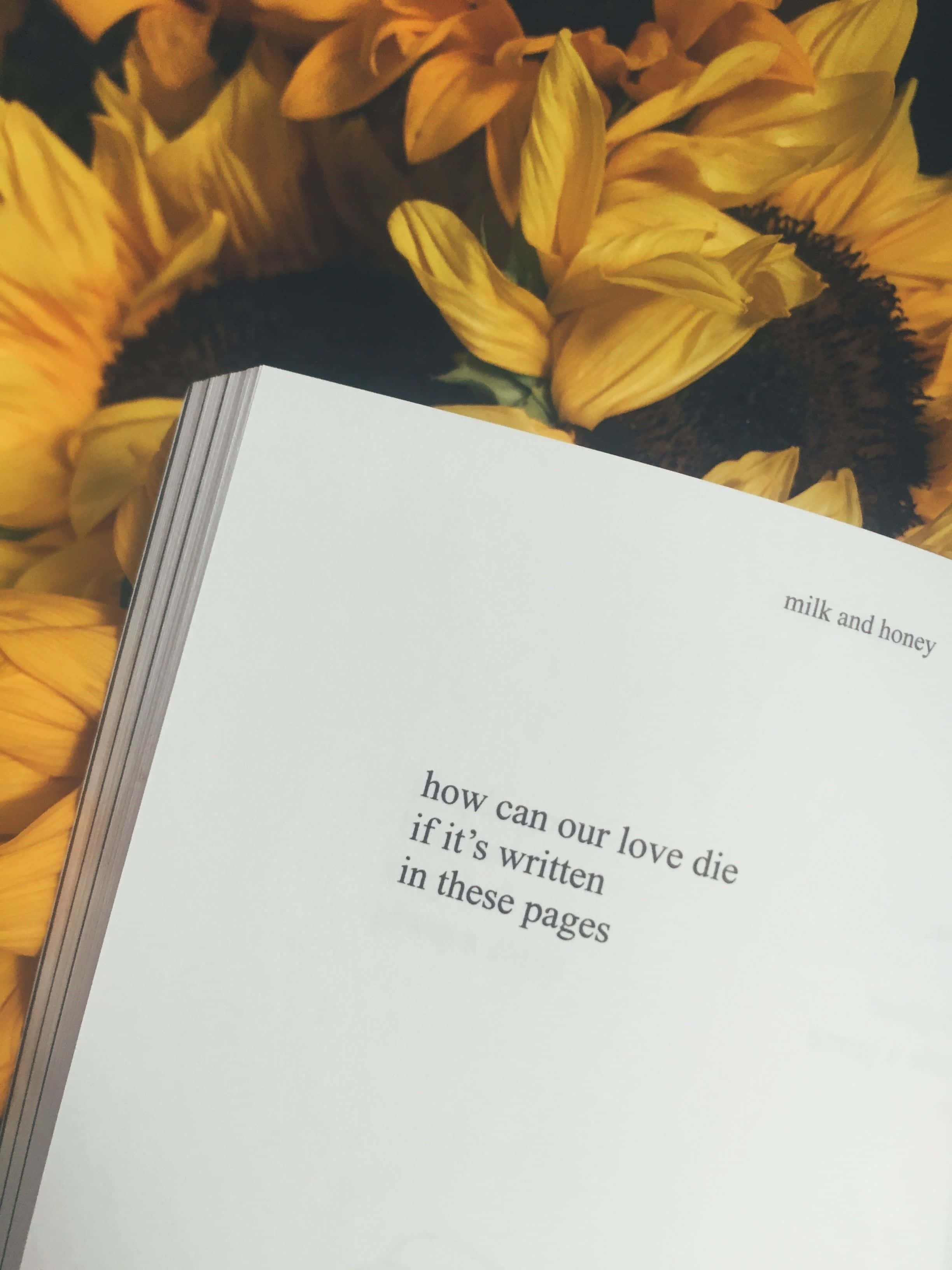 Sunflower Yellow Tumblr Aesthetic, white book, poetic text, 2K Phone Wallpaper
