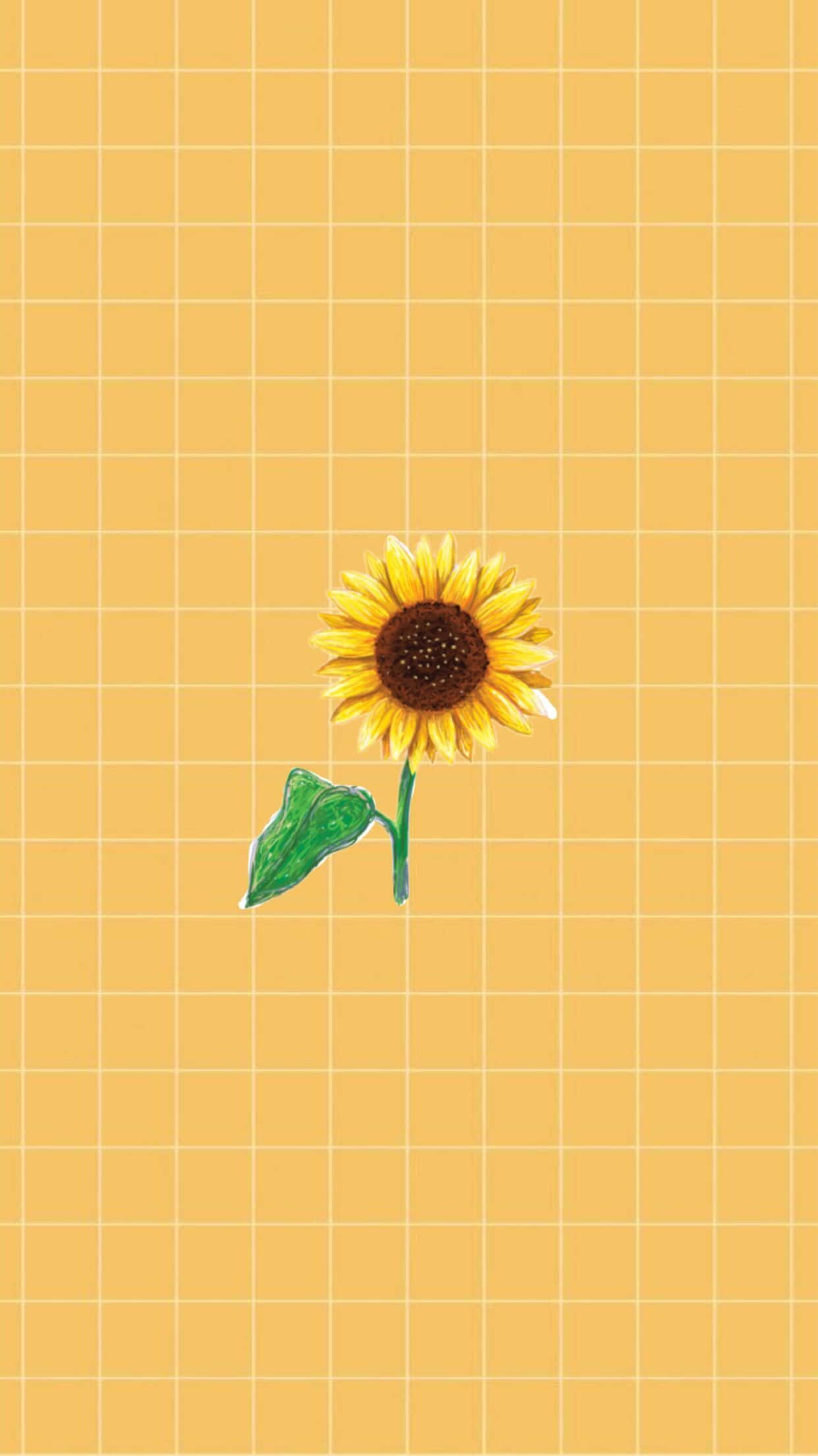 Sunflower Yellow Tumblr Aesthetic, sunflower, green stem, Full HD Phone Wallpaper