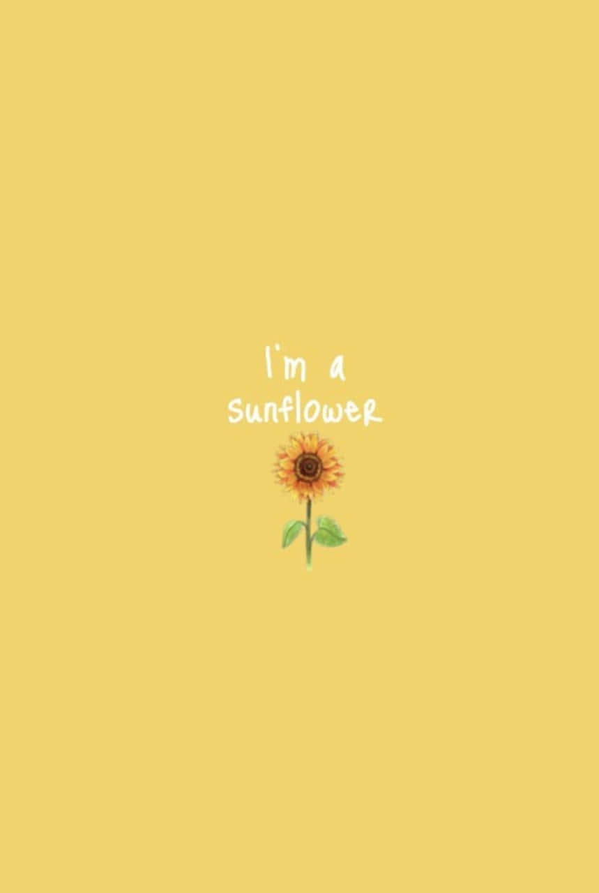 sunflower, handwritten text, i'm a sunflower, HD Phone Wallpaper