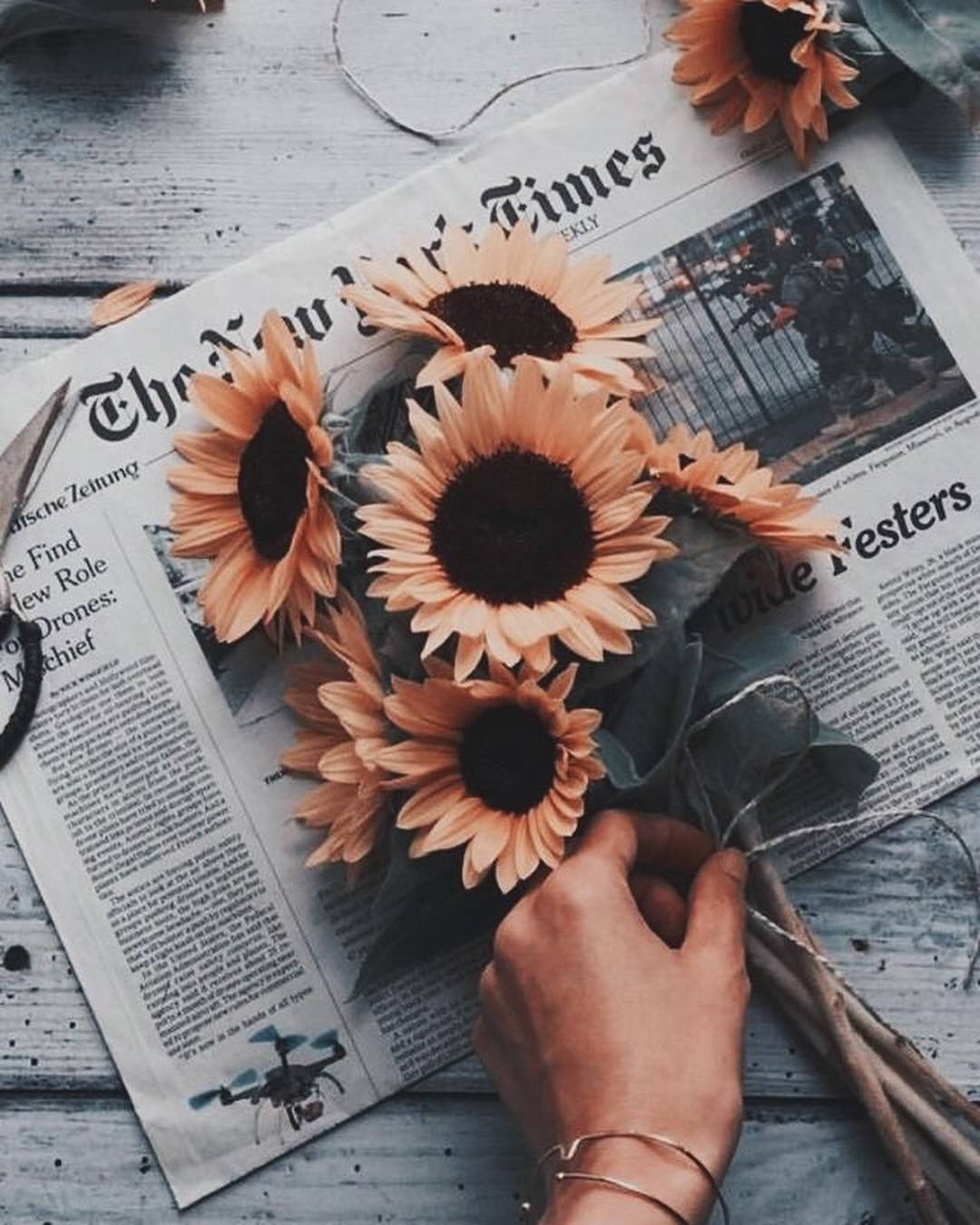 peach sunflowers, newspaper, weathered wooden surface, HD Phone Wallpaper