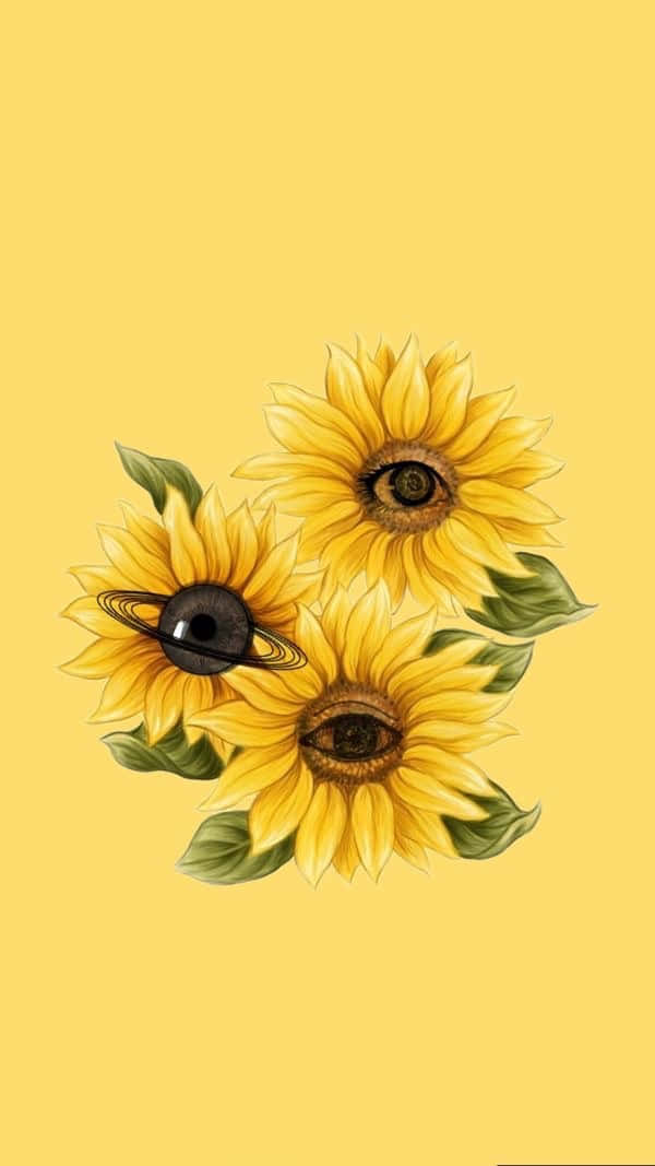 sunflower, black eyes, yellow background, SD Phone Wallpaper