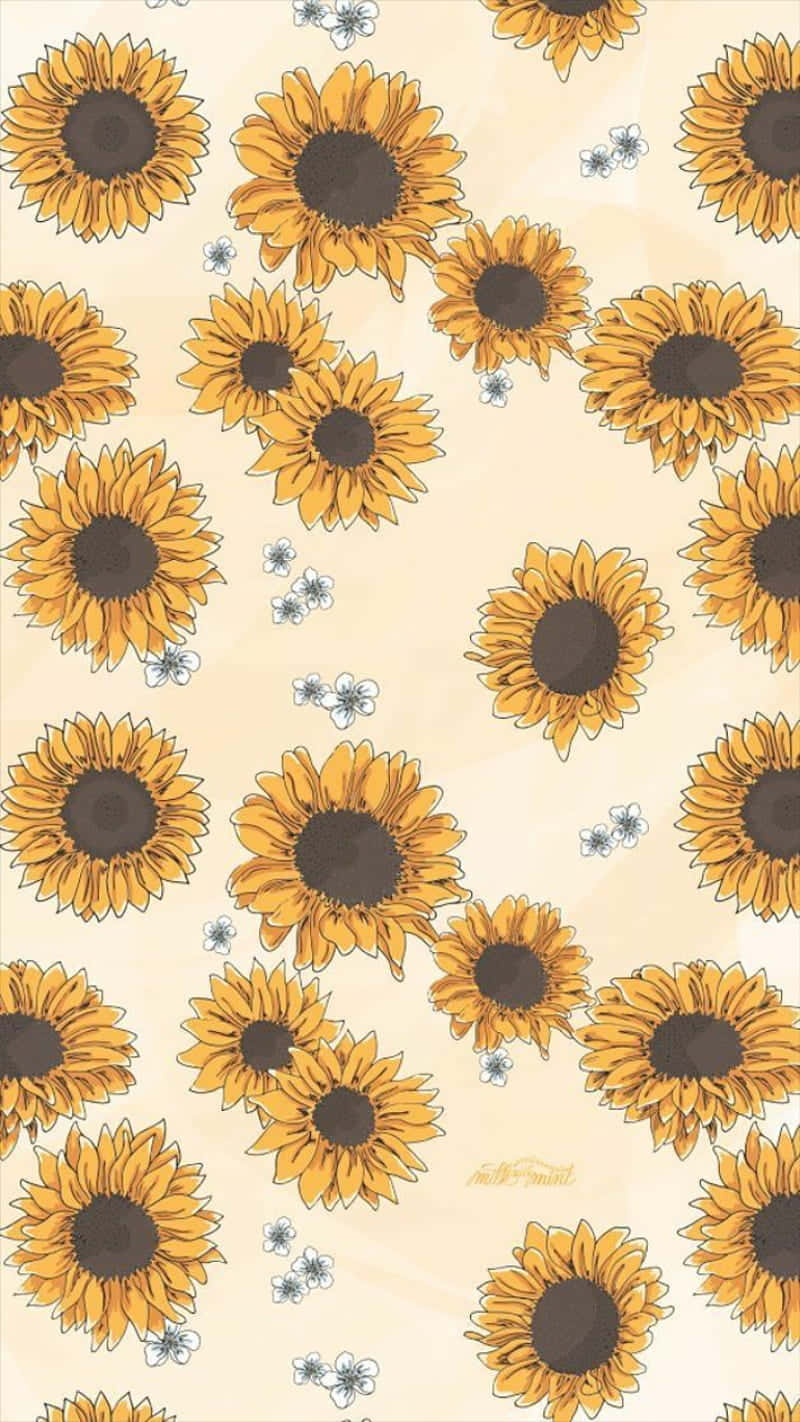 sunflower yellow, blue sky, dark centers, HD Phone Wallpaper