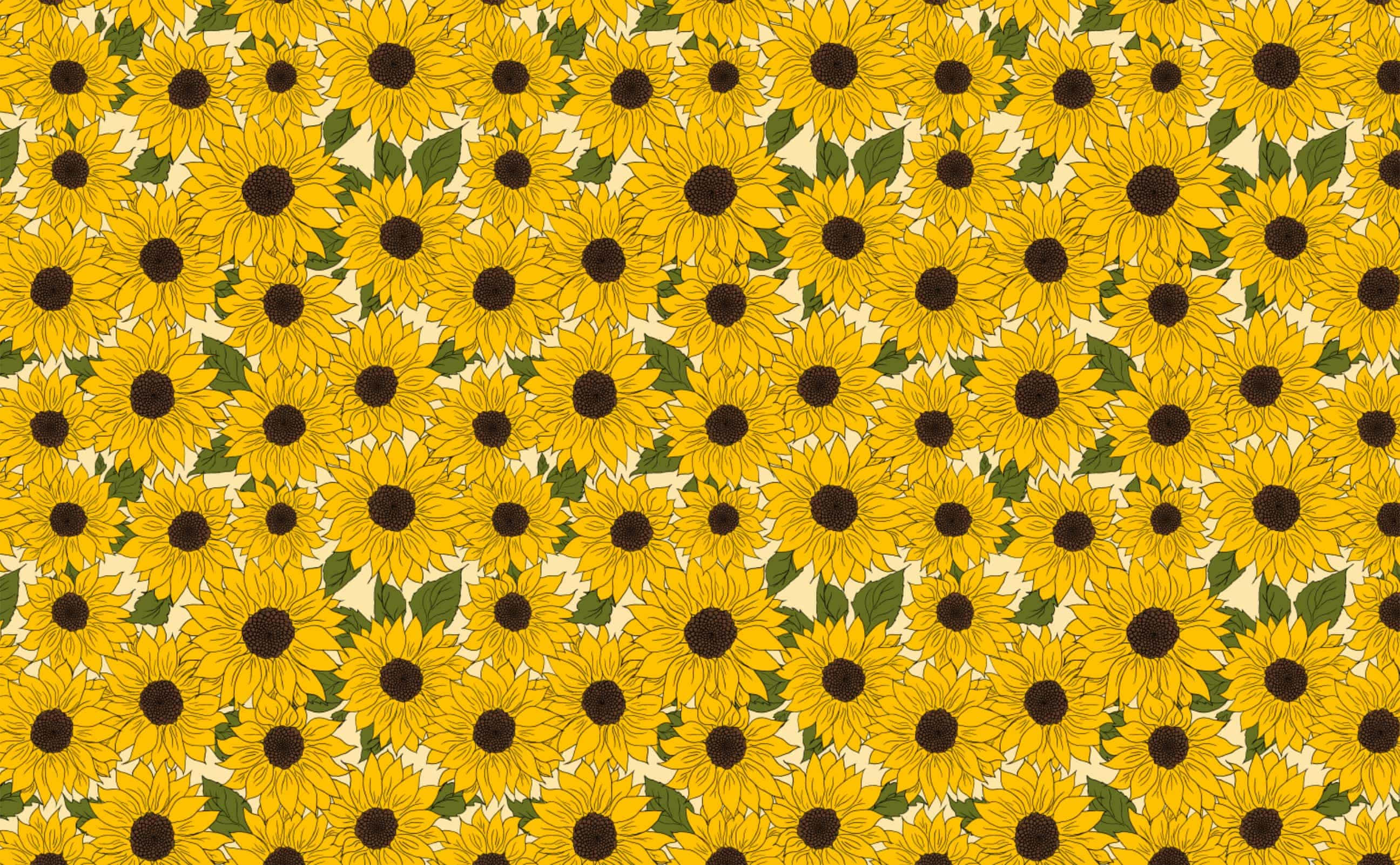 Sunflower Yellow, vibrant yellow, dark centers, 2K Desktop Wallpaper