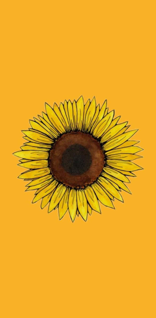 Sunflower Yellow, sunflower, yellow petals, HD Phone Wallpaper