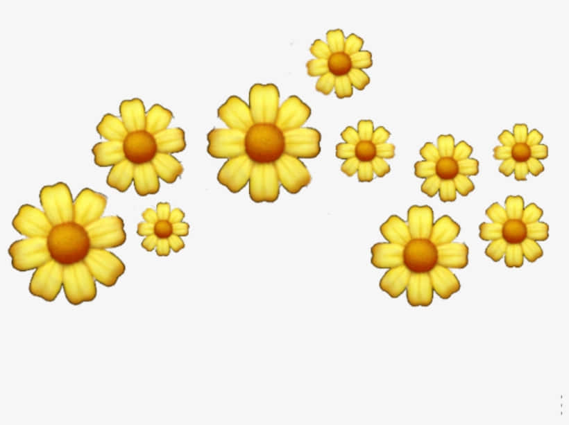 sunflower yellow, tumblr aesthetic, yellow, SD Desktop Wallpaper