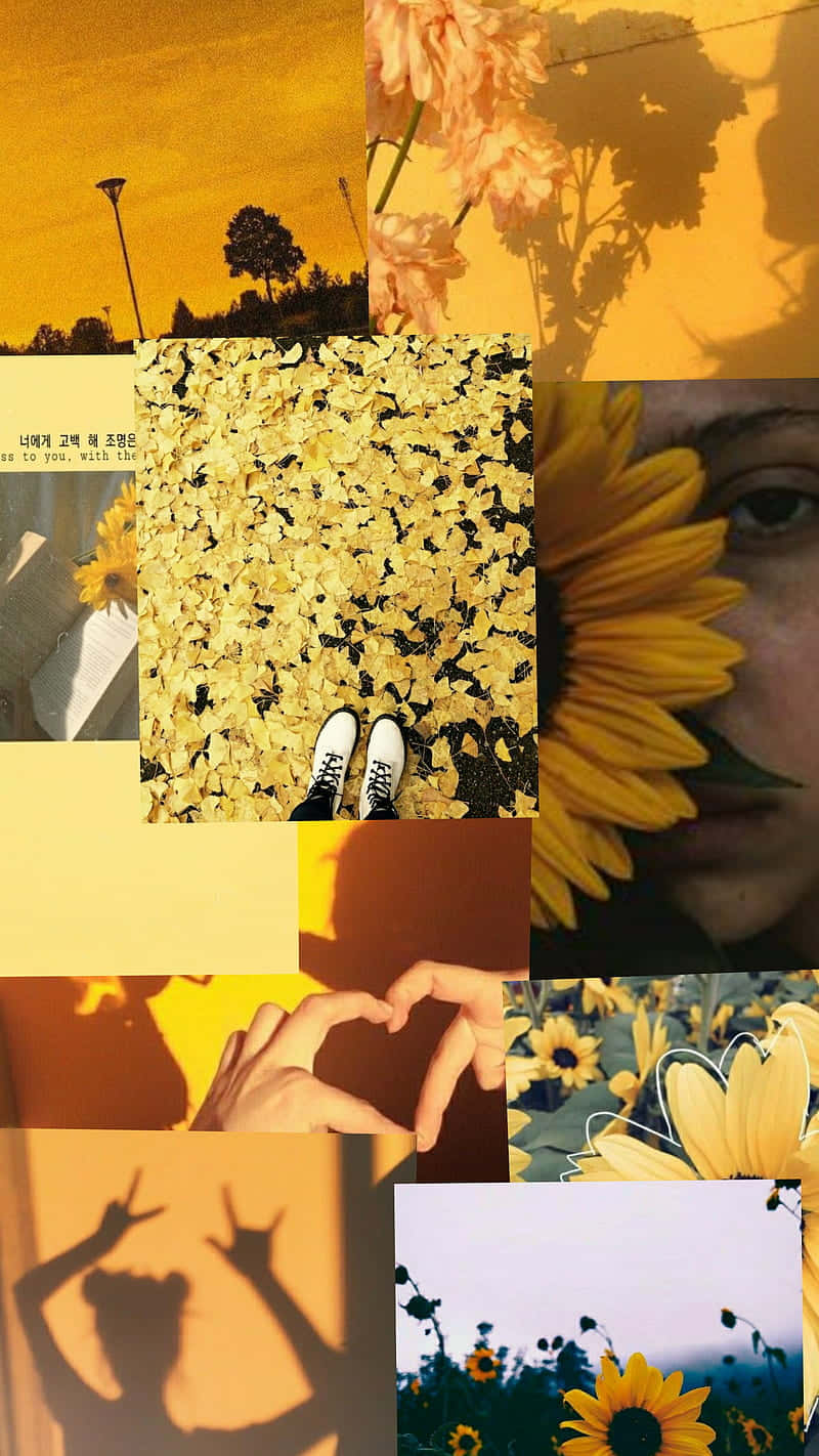sunflower, yellow, heart shapes, HD Phone Wallpaper