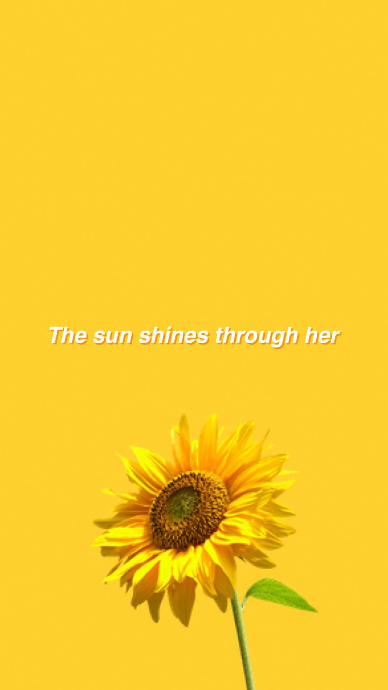 Sunflower, yellow aesthetic, solid yellow background, Full HD Phone Wallpaper