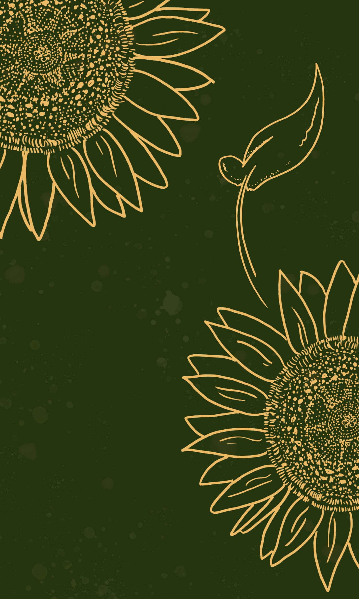 Sunflower, Golden sunflowers, sprout, Full HD Phone Wallpaper