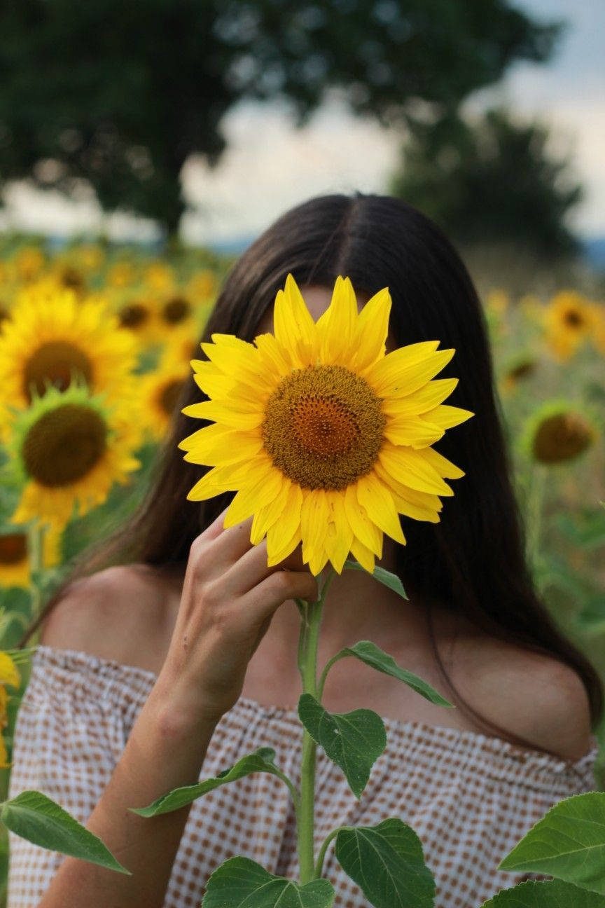 Sunflower Girl, vibrant yellow sunflower, sunlit field, HD Phone Wallpaper