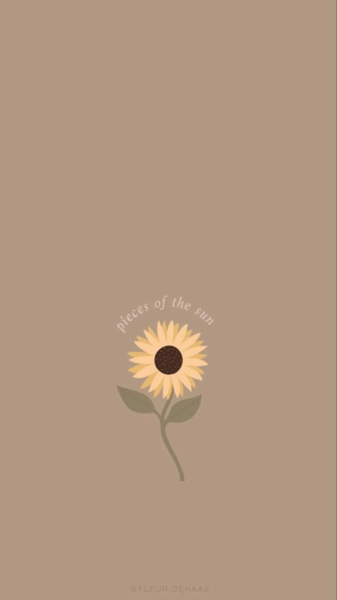 sunflower, minimalism, beige aesthetic, Full HD Phone Wallpaper