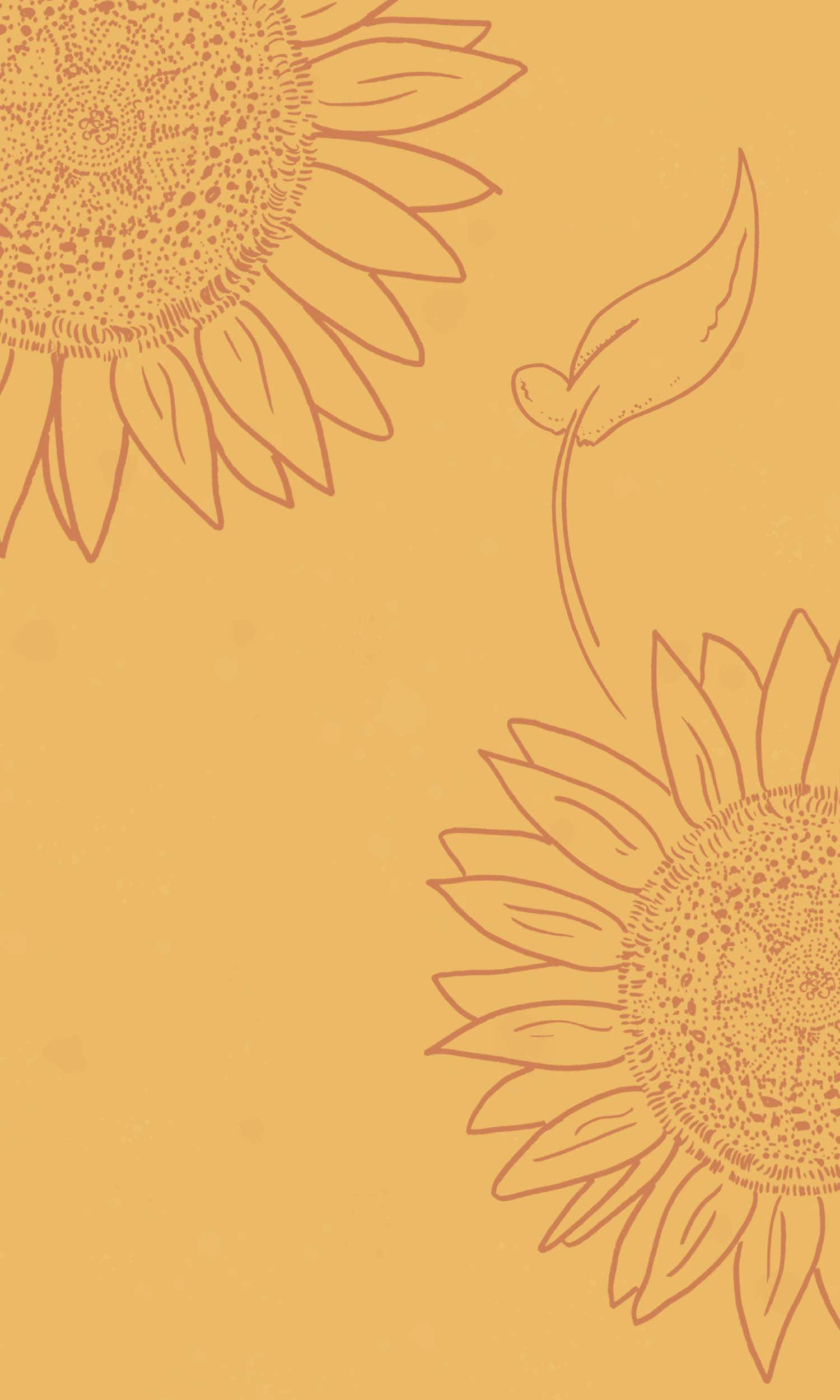 sunflower, mustard yellow, brown leaf, Full HD Phone Wallpaper