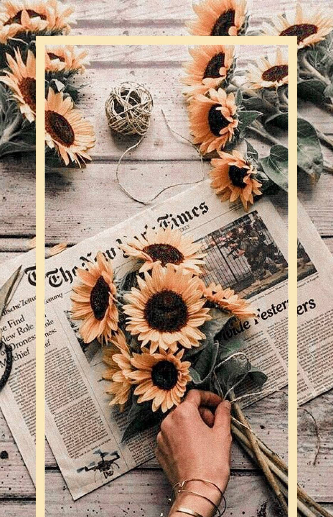 sunflowers, newspapers, weathered wood, HD Phone Wallpaper