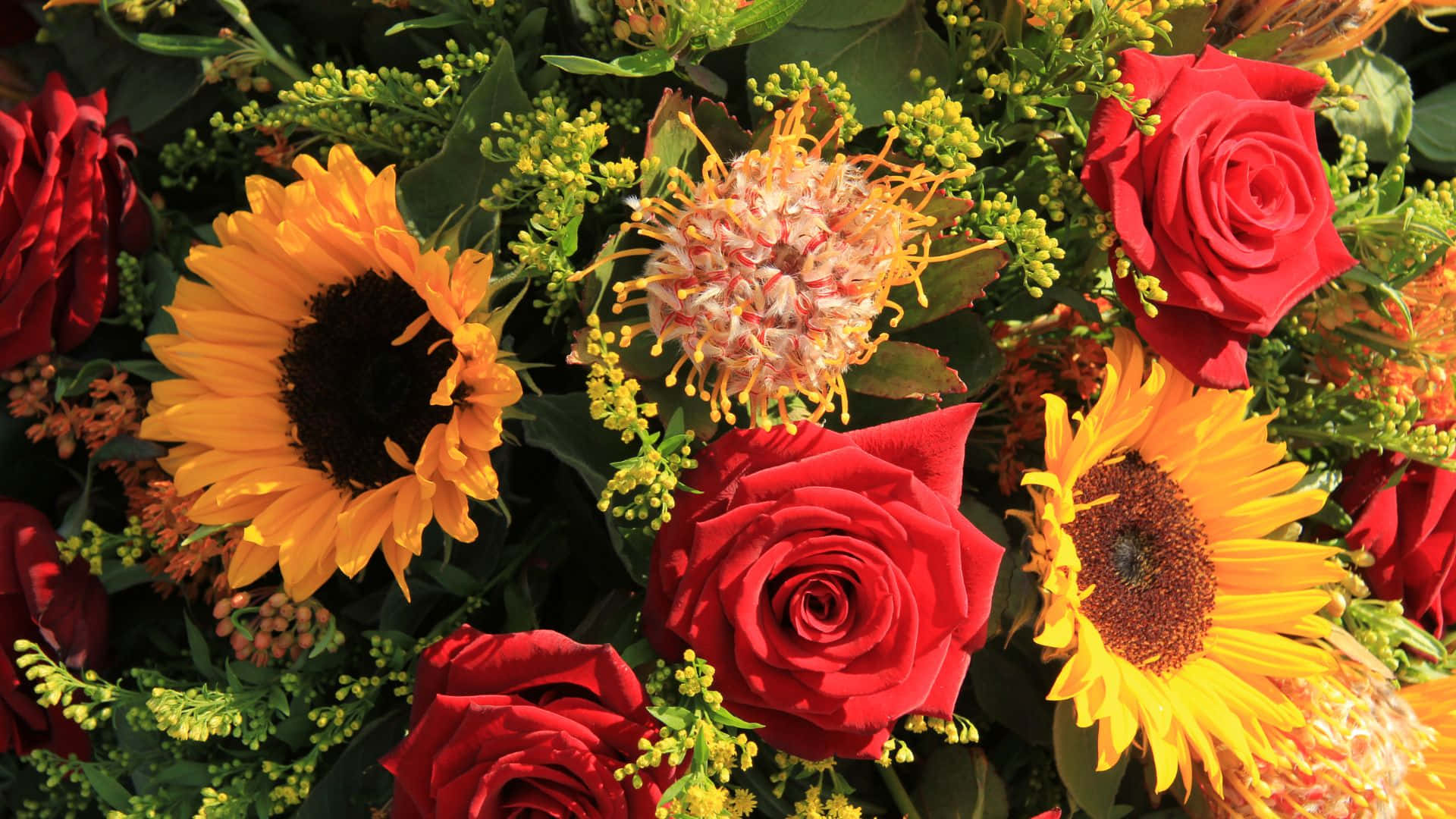 sunflowers and roses, red roses, yellow sunflowers, Full HD Desktop Wallpaper