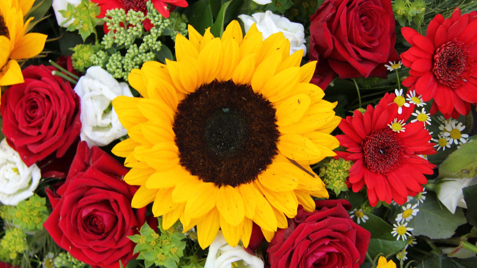 Sunflowers And Roses Buoquet Bundle Reference, sunflowers, roses, Full HD Desktop Wallpaper