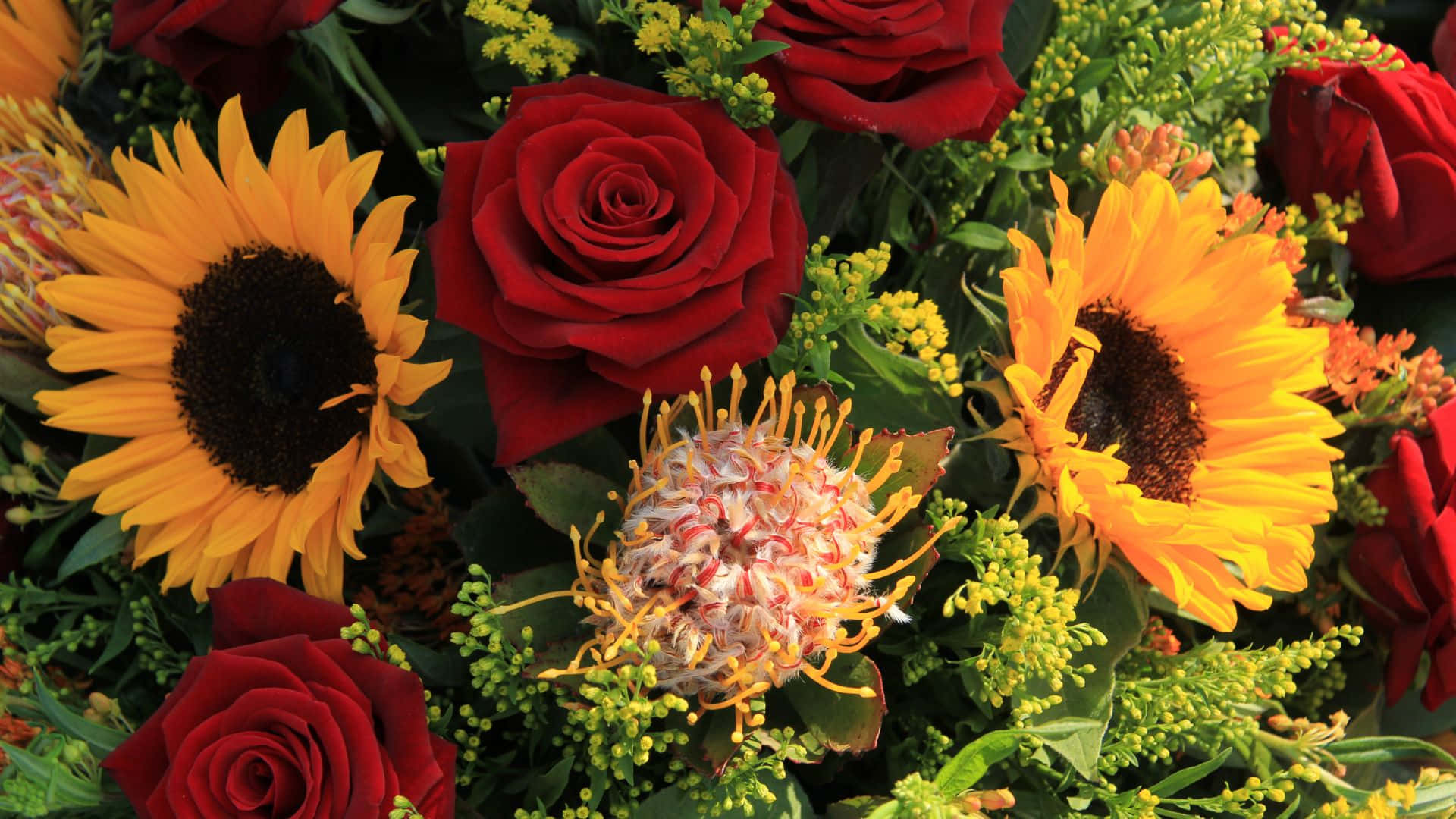 Sunflowers And Roses, red roses, sunflowers, Full HD Desktop Wallpaper