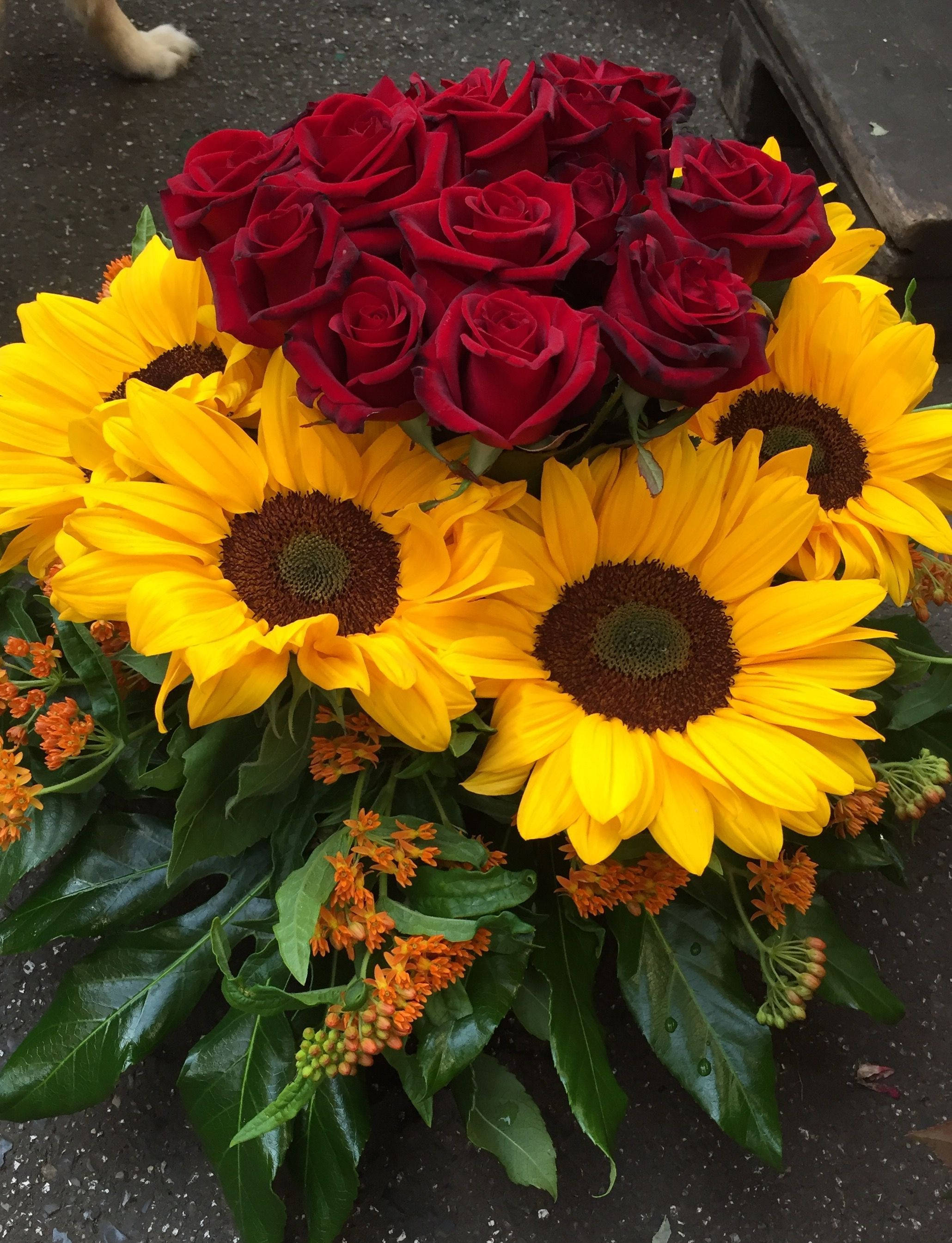 Sunflowers And Roses, deep red roses, bright yellow sunflowers, 2K Phone Wallpaper