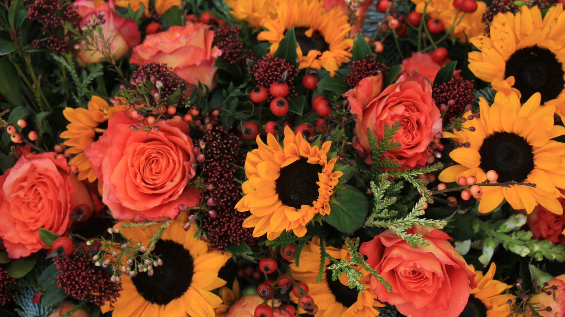 sunflowers, pink roses, coral roses, Full HD Desktop Wallpaper