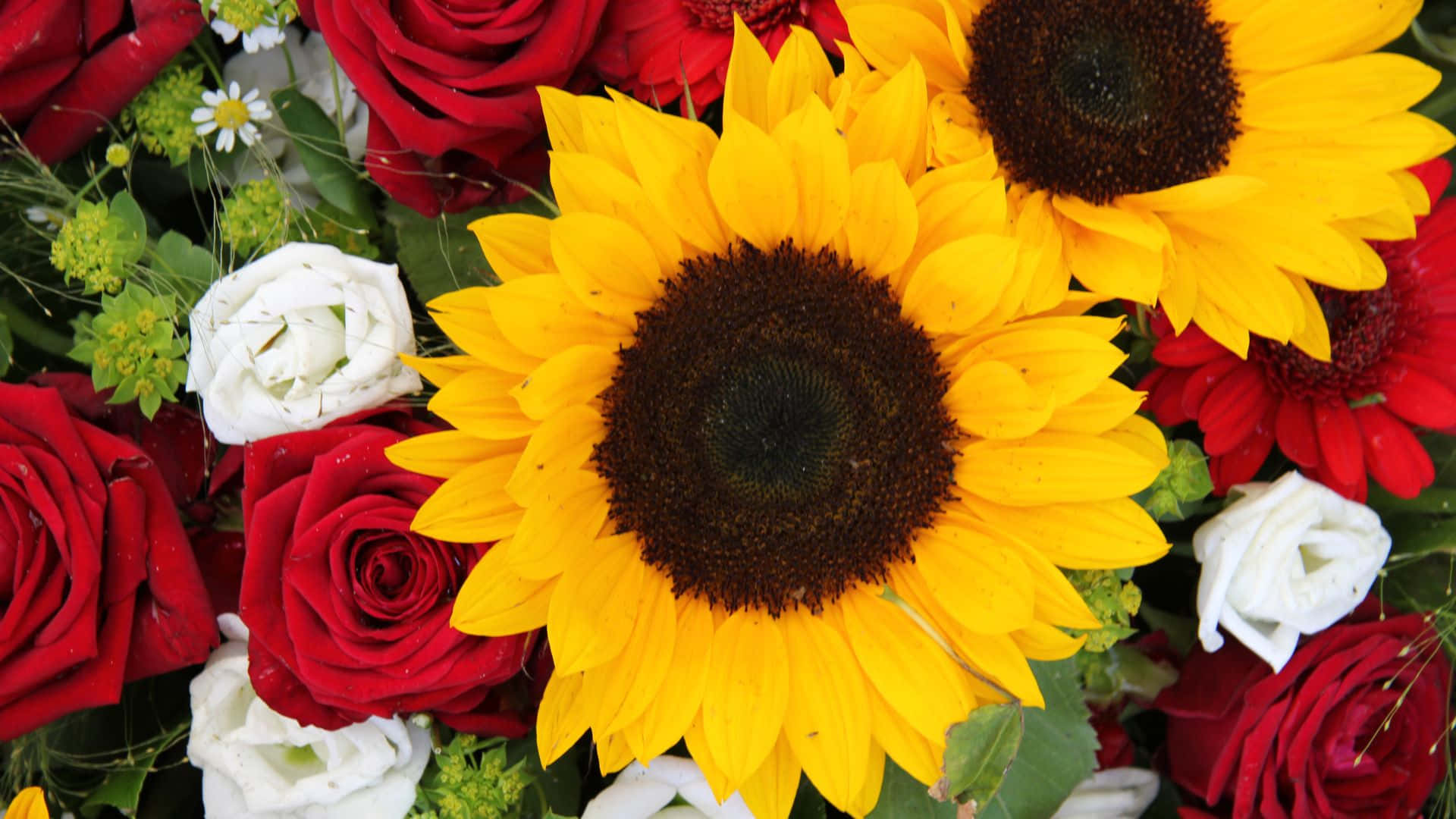 sunflowers, roses, red, Full HD Desktop Wallpaper