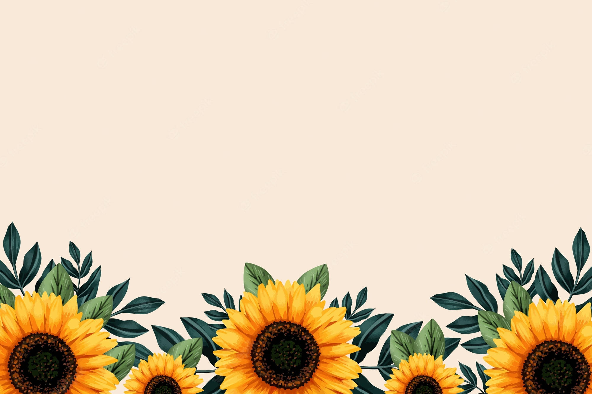 Sunflowers And Roses, vibrant sunflowers, lush green leaves, Full HD Desktop Wallpaper