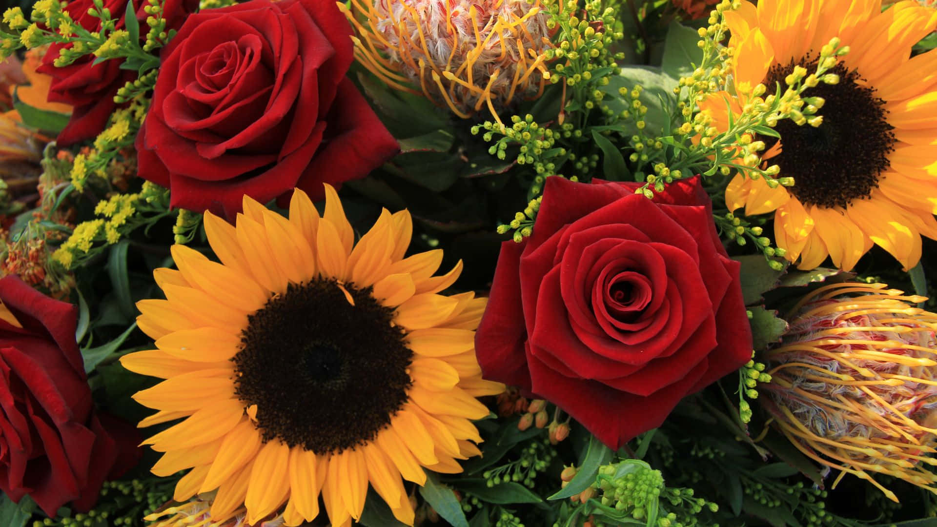 sunflowers, roses, red roses, Full HD Desktop Wallpaper