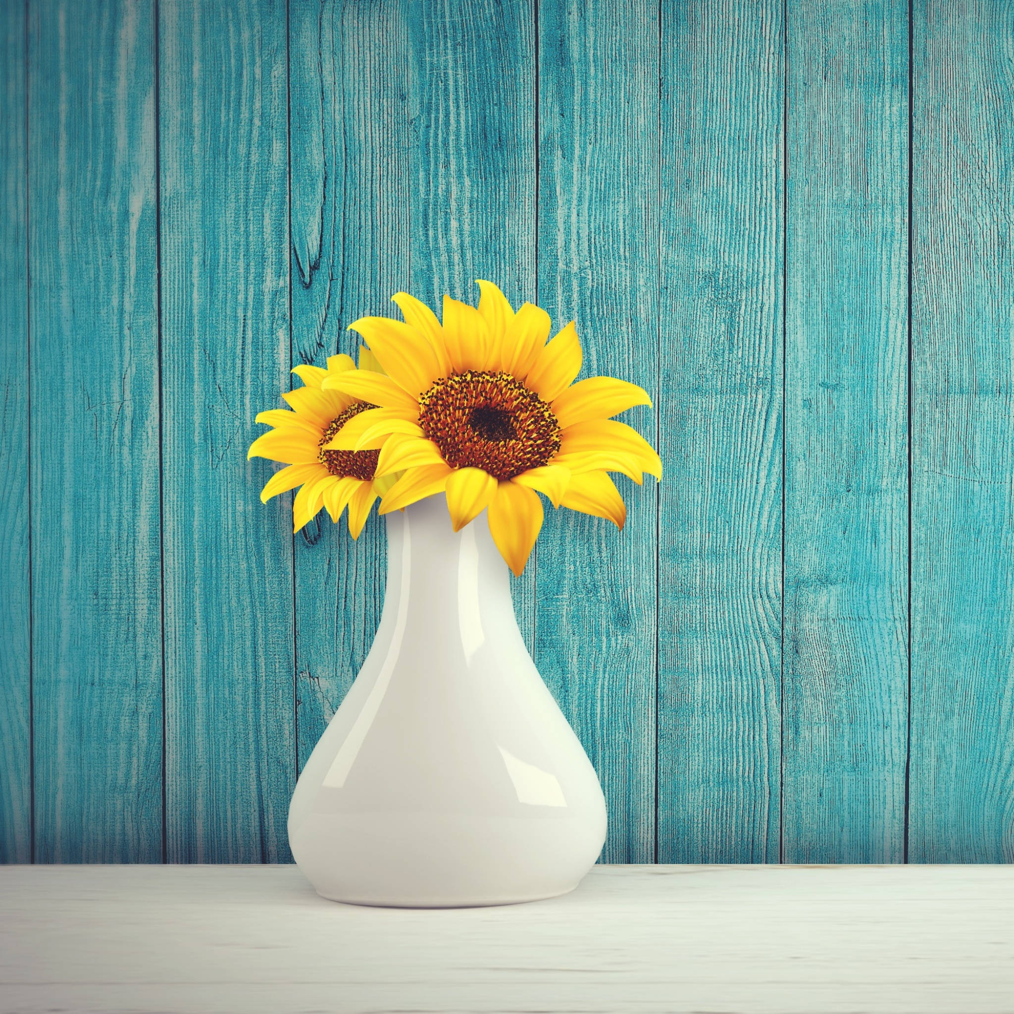 sunflowers and roses, bright yellow sunflowers, sleek white vase, Full HD Desktop Wallpaper