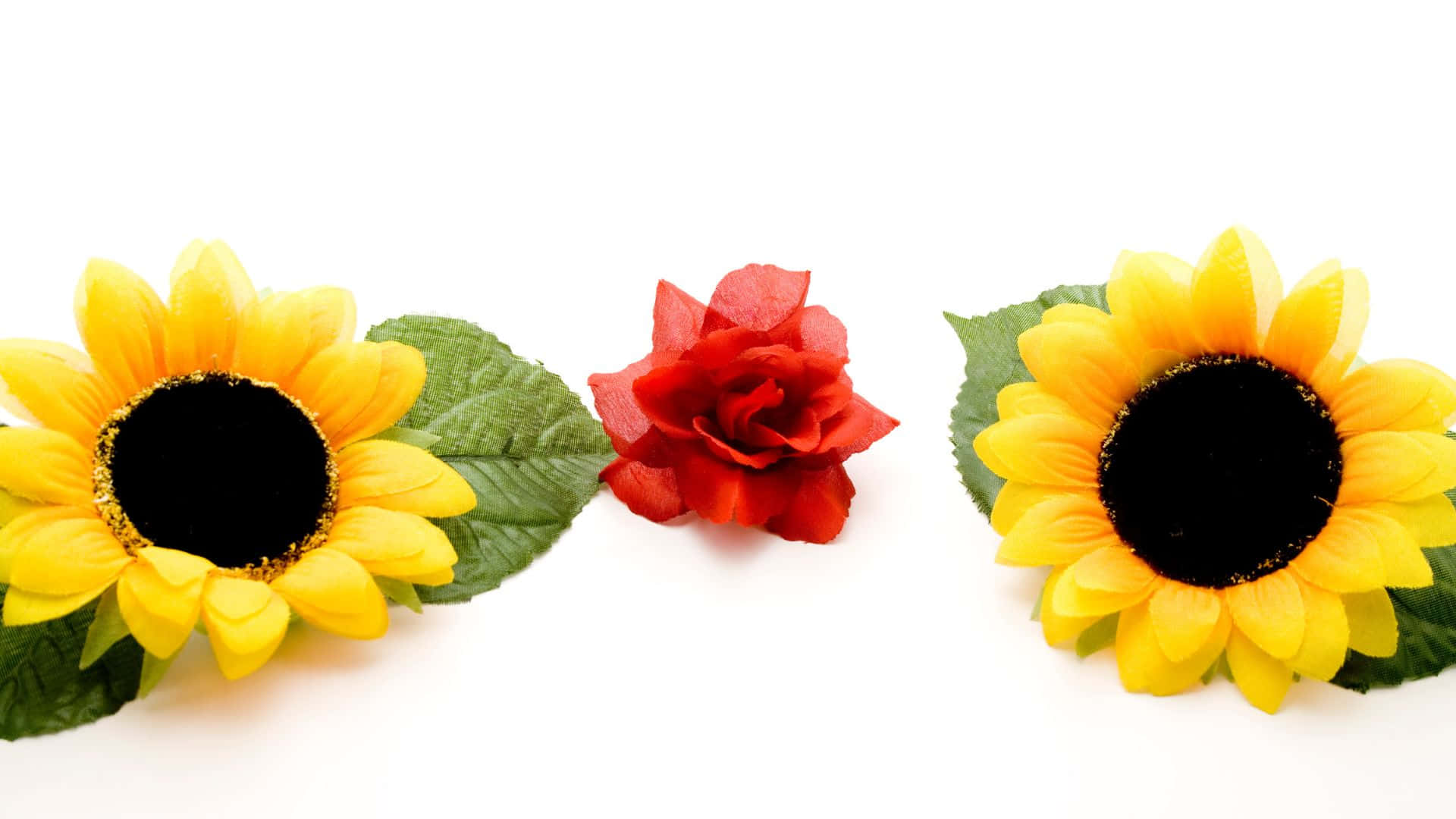 Sunflowers And Roses, sunflowers, red rose, Full HD Desktop Wallpaper