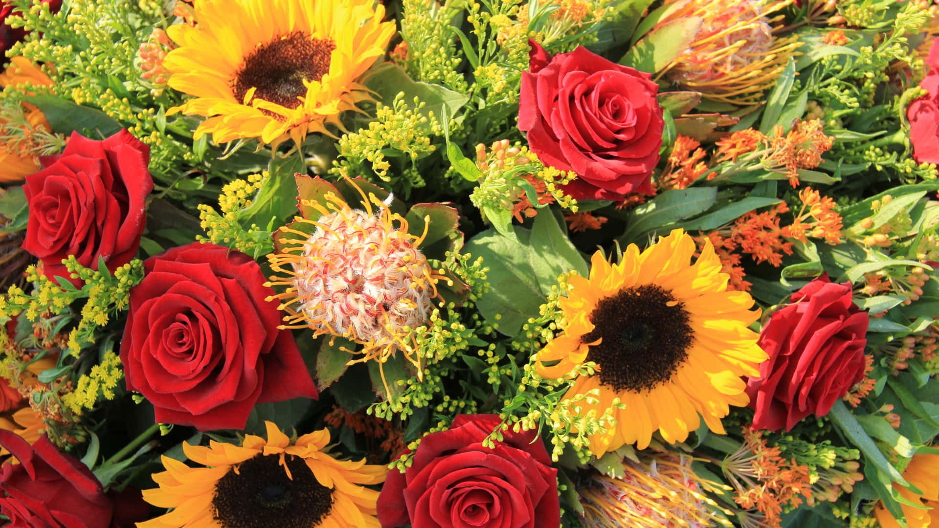 Sunflowers And Roses, red roses, sunflowers, Full HD Desktop Wallpaper