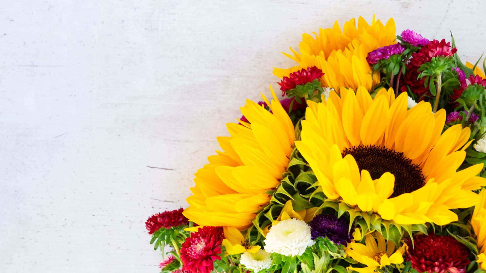 Sunflowers And Roses, vibrant sunflowers, colorful blooms, Full HD Desktop Wallpaper