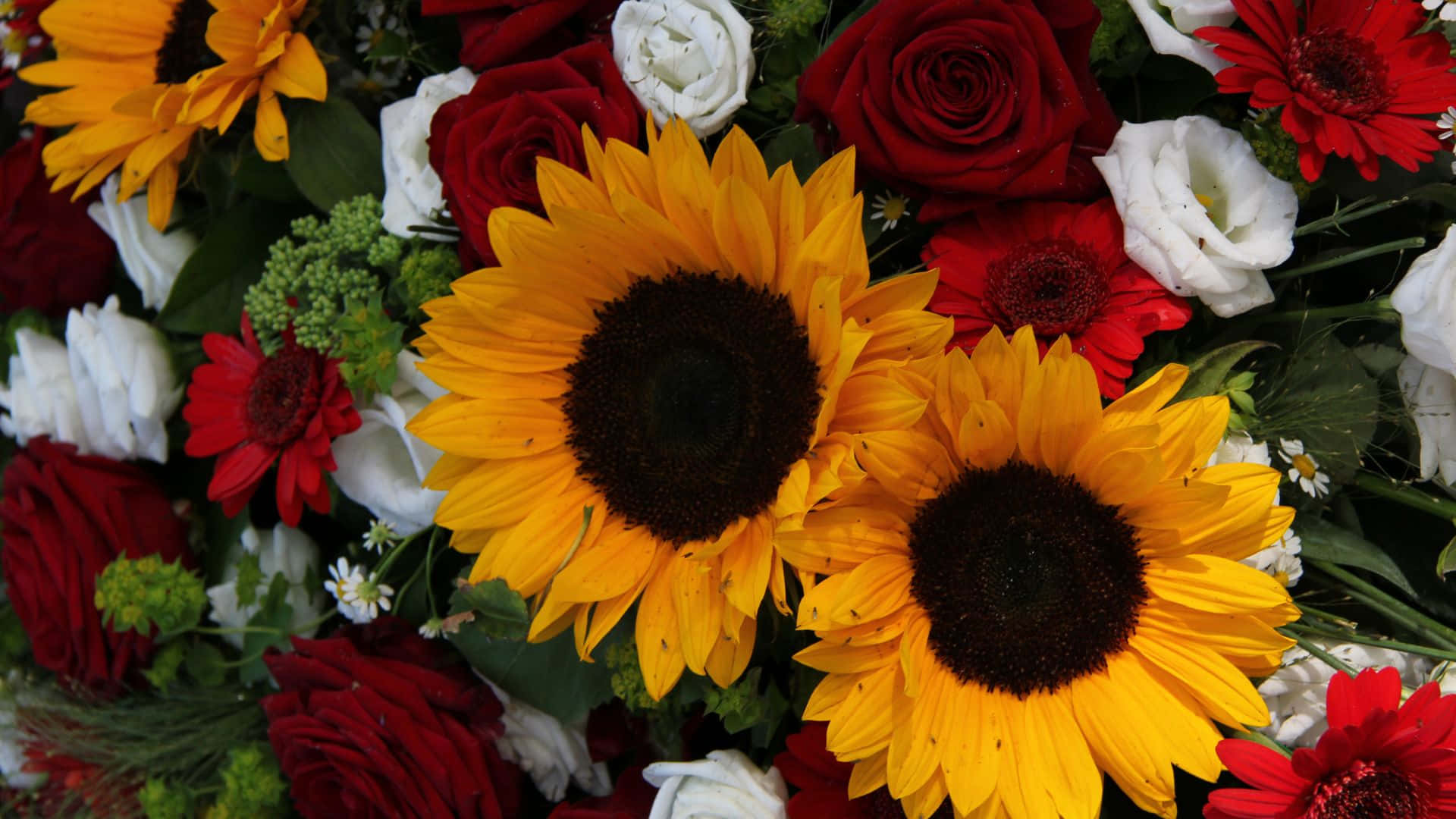 sunflowers, red roses, white daisies, Full HD Desktop Wallpaper