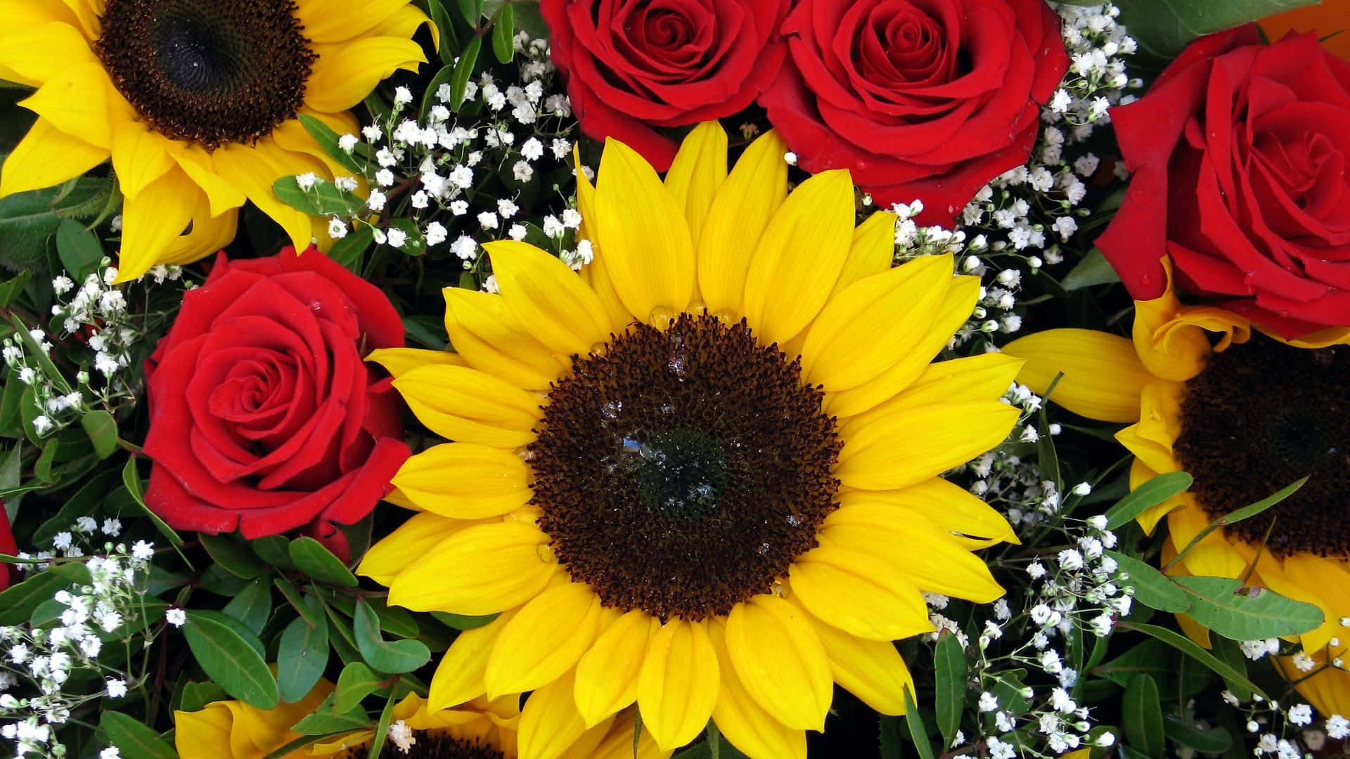sunflowers, roses, red roses, Full HD Desktop Wallpaper