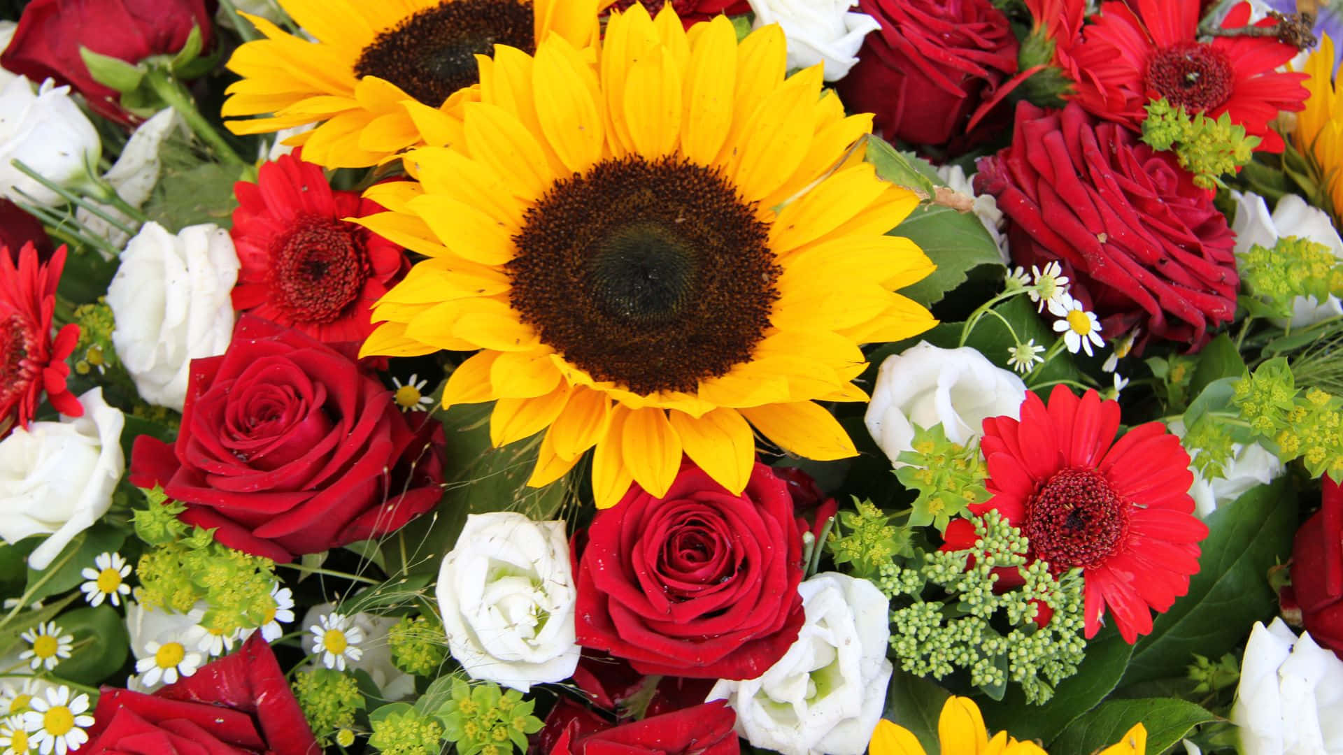 sunflowers, red white roses, daisies, Full HD Desktop Wallpaper
