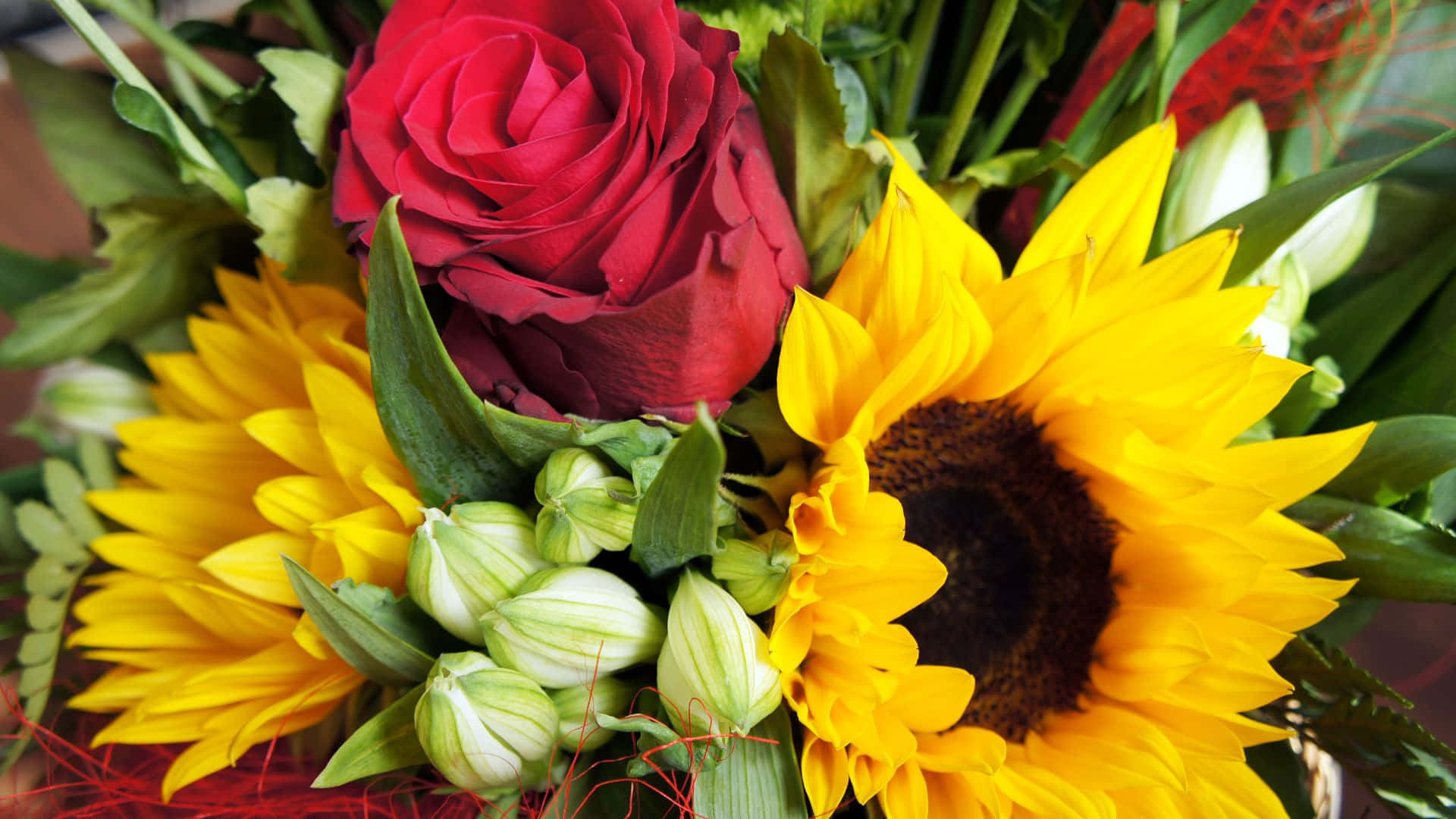 Sunflowers And Roses Buoquet Bundle, yellow sunflowers, deep red roses, Full HD Desktop Wallpaper