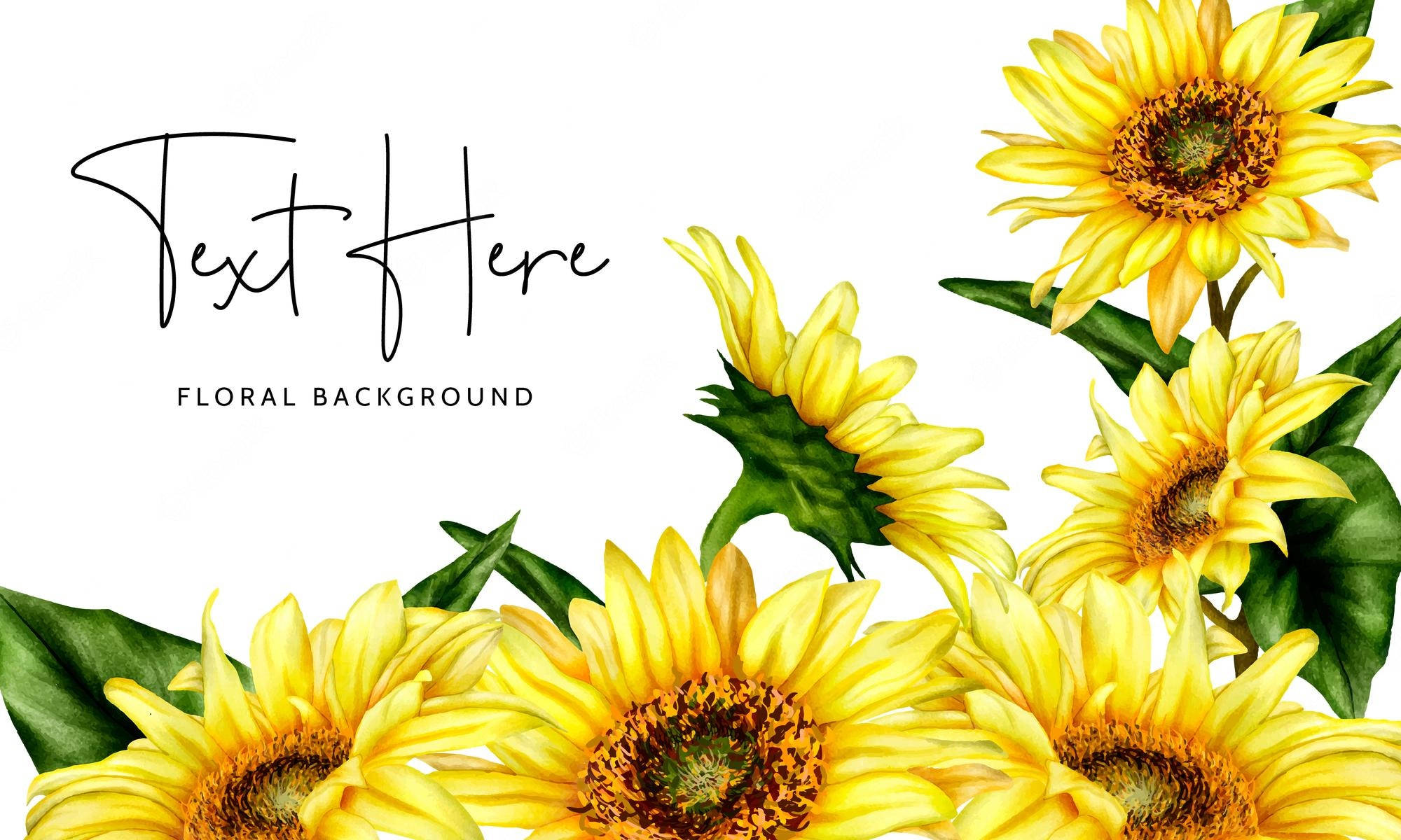 sunflowers, roses, vibrant yellow, Full HD Desktop Wallpaper