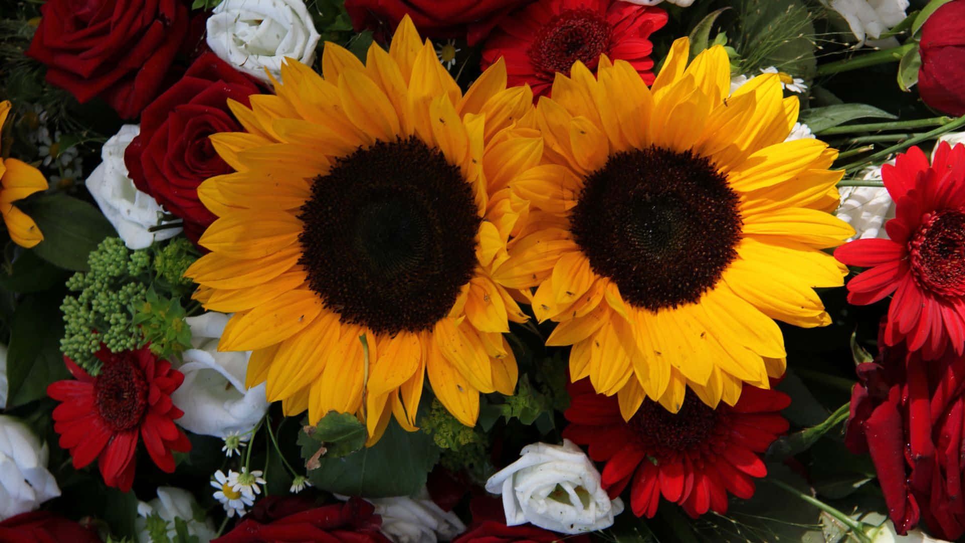 sunflowers, roses, red roses, Full HD Desktop Wallpaper
