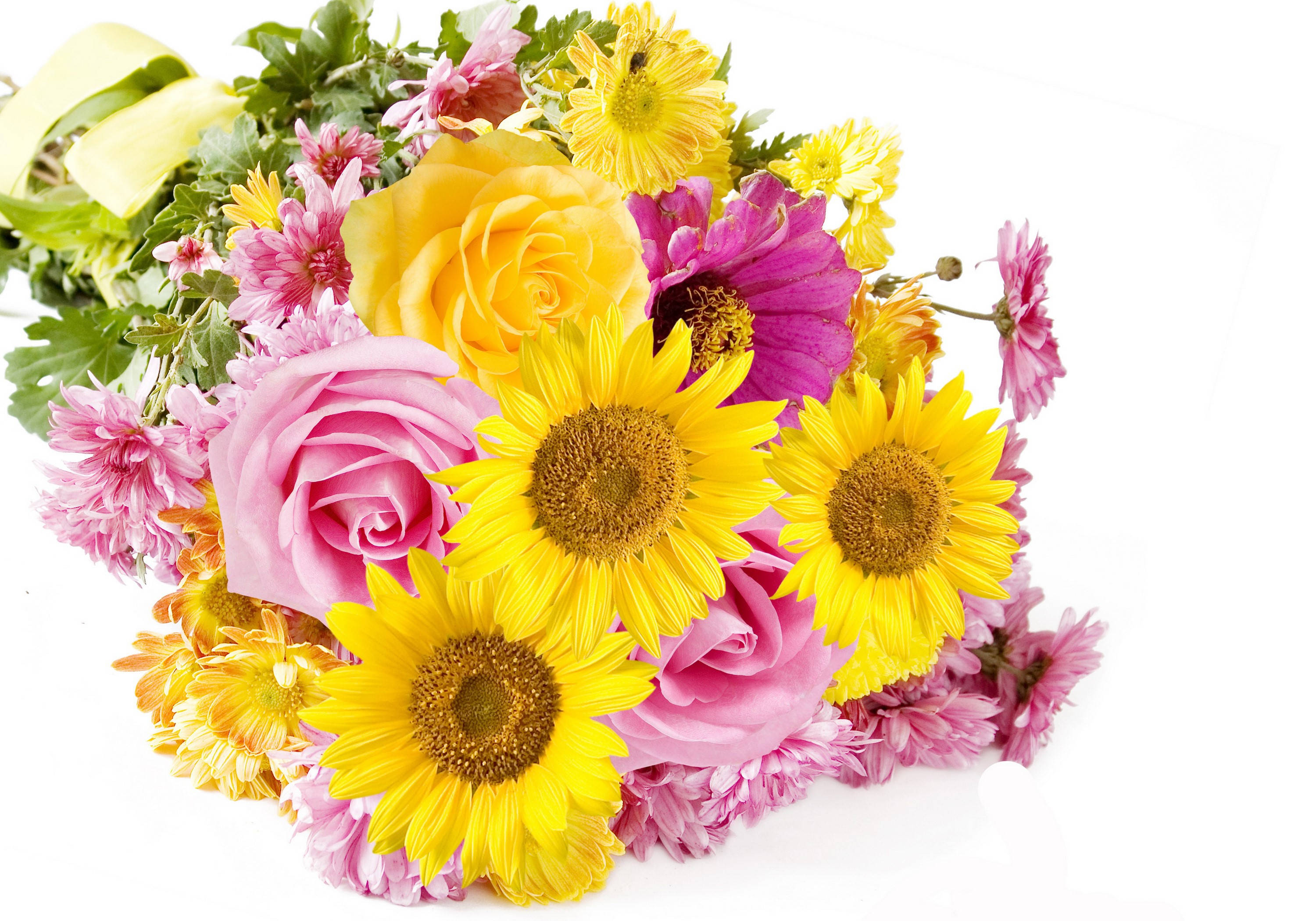 sunflowers, roses, chrysanthemums, 2K Desktop Wallpaper