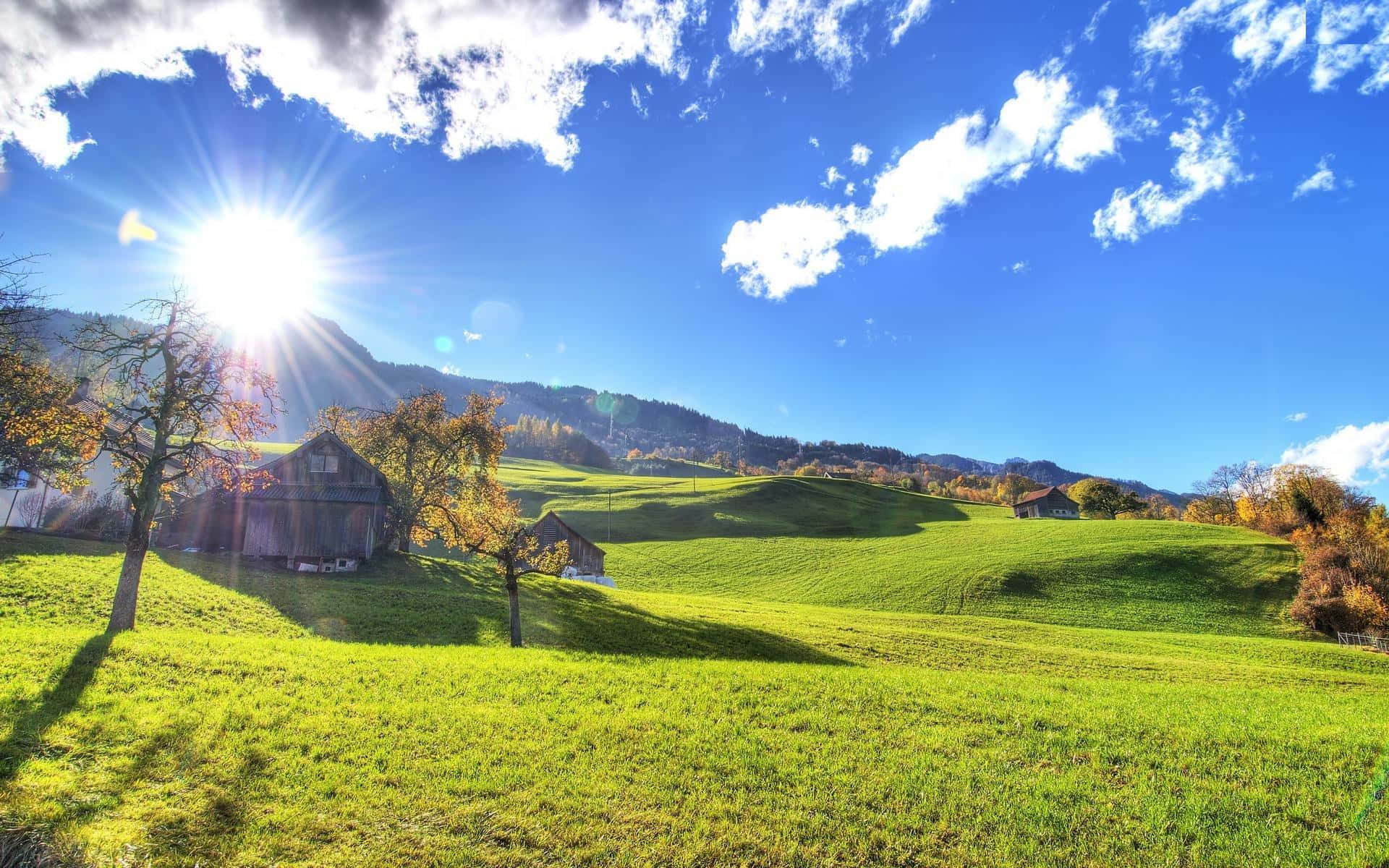 Sunny Day, vibrant blue sky, sunburst, Full HD Desktop Wallpaper
