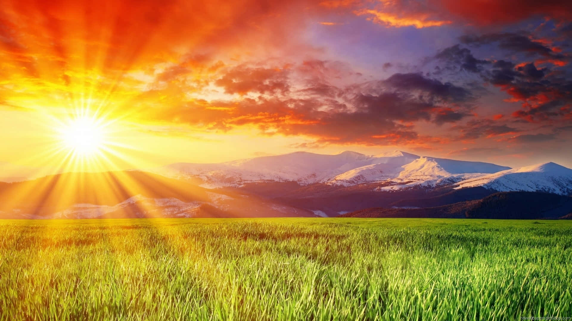 sunny day, fiery orange, purple sky, Full HD Desktop Wallpaper