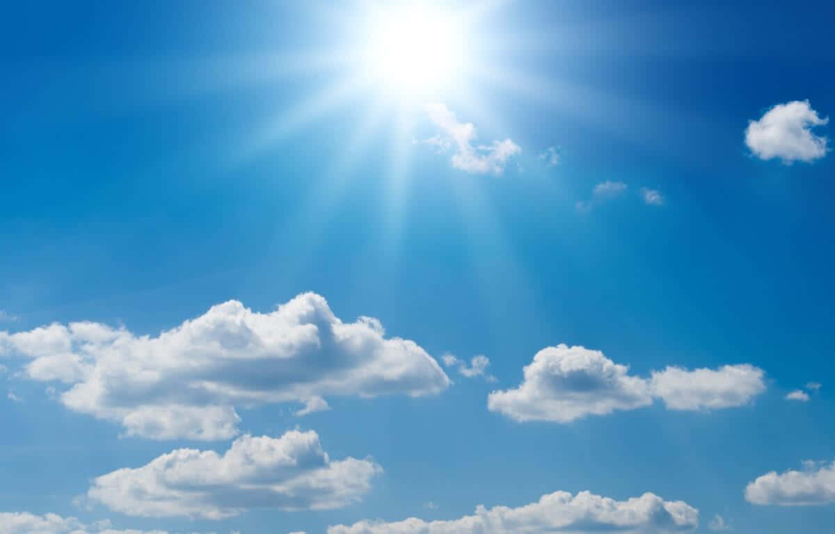 Sunny, summer season, bright rays, SD Desktop Wallpaper
