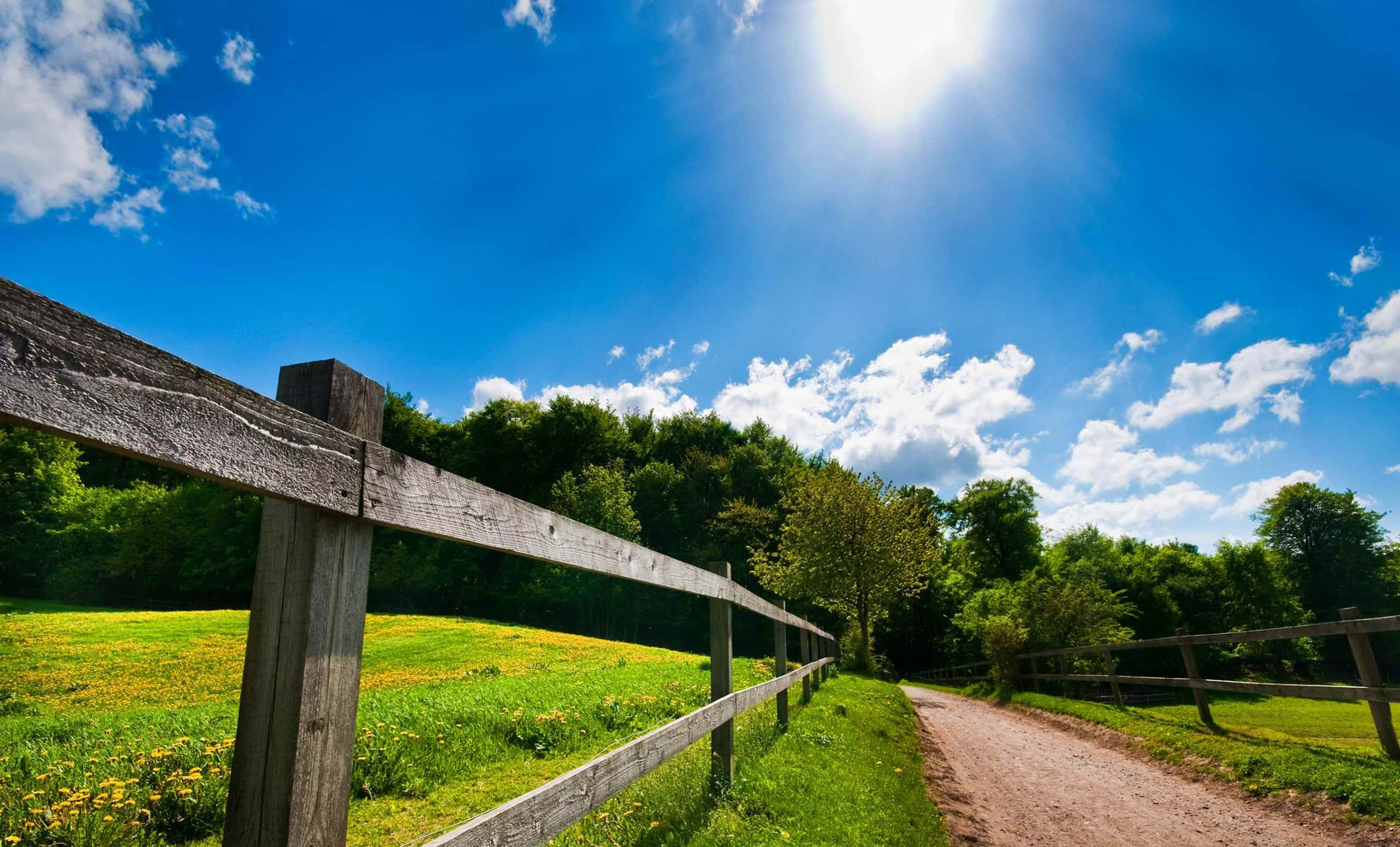 Sunny Day, dirt path, weathered wooden fence, 2K Desktop Wallpaper