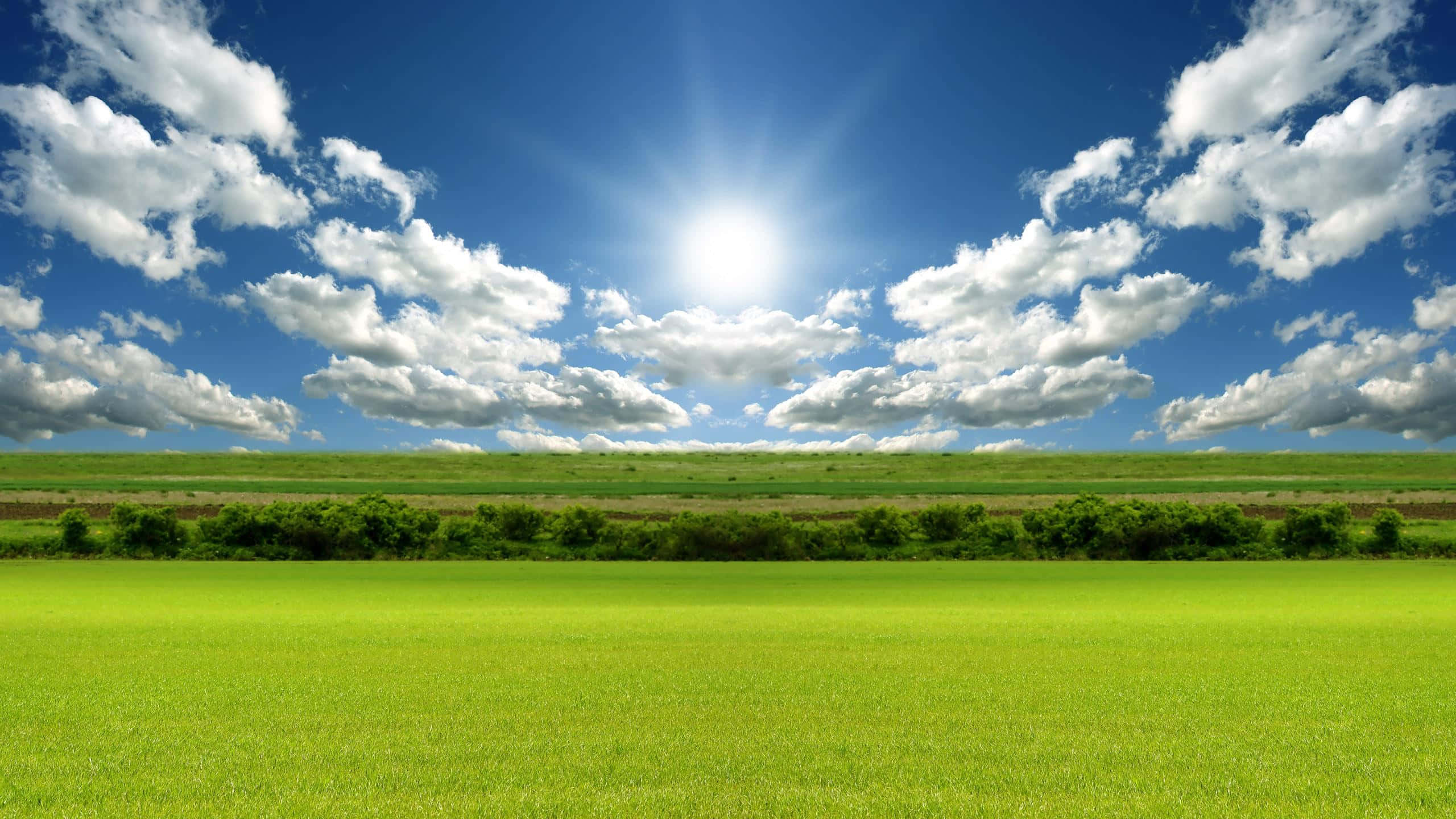 sunny day, bright blue sky, fluffy white clouds, 2K Desktop Wallpaper