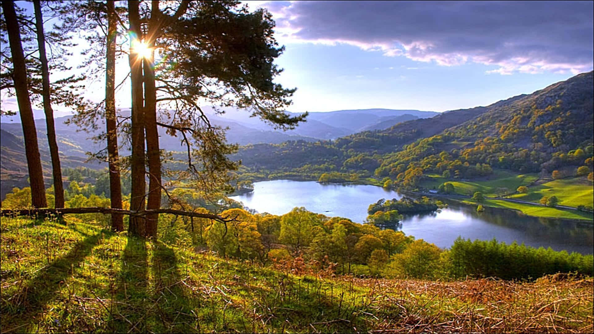 Sunny, lake, pine trees, Full HD Desktop Wallpaper