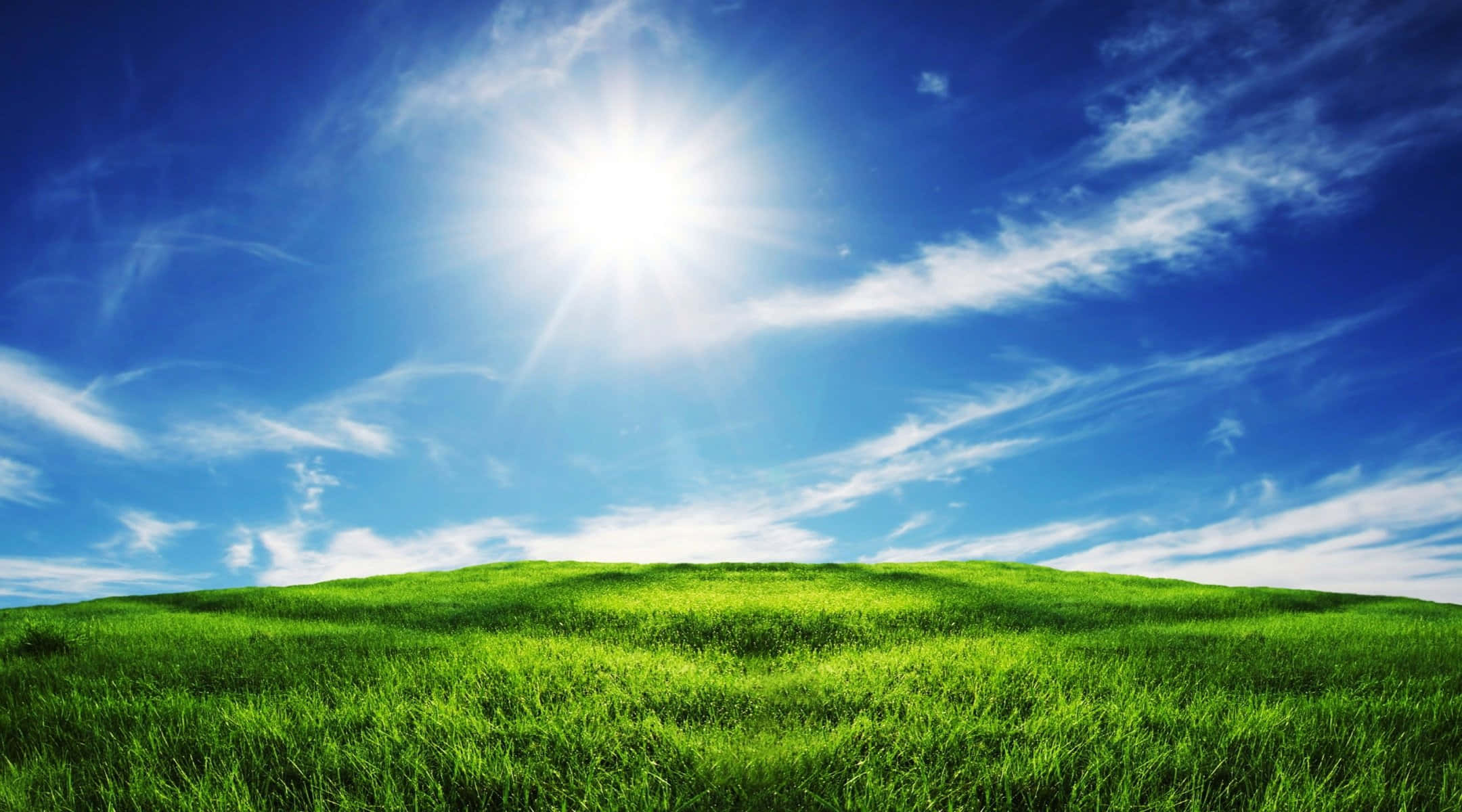 Sunny Day, vibrant green grassy hill, bright blue sky, Full HD Desktop Wallpaper
