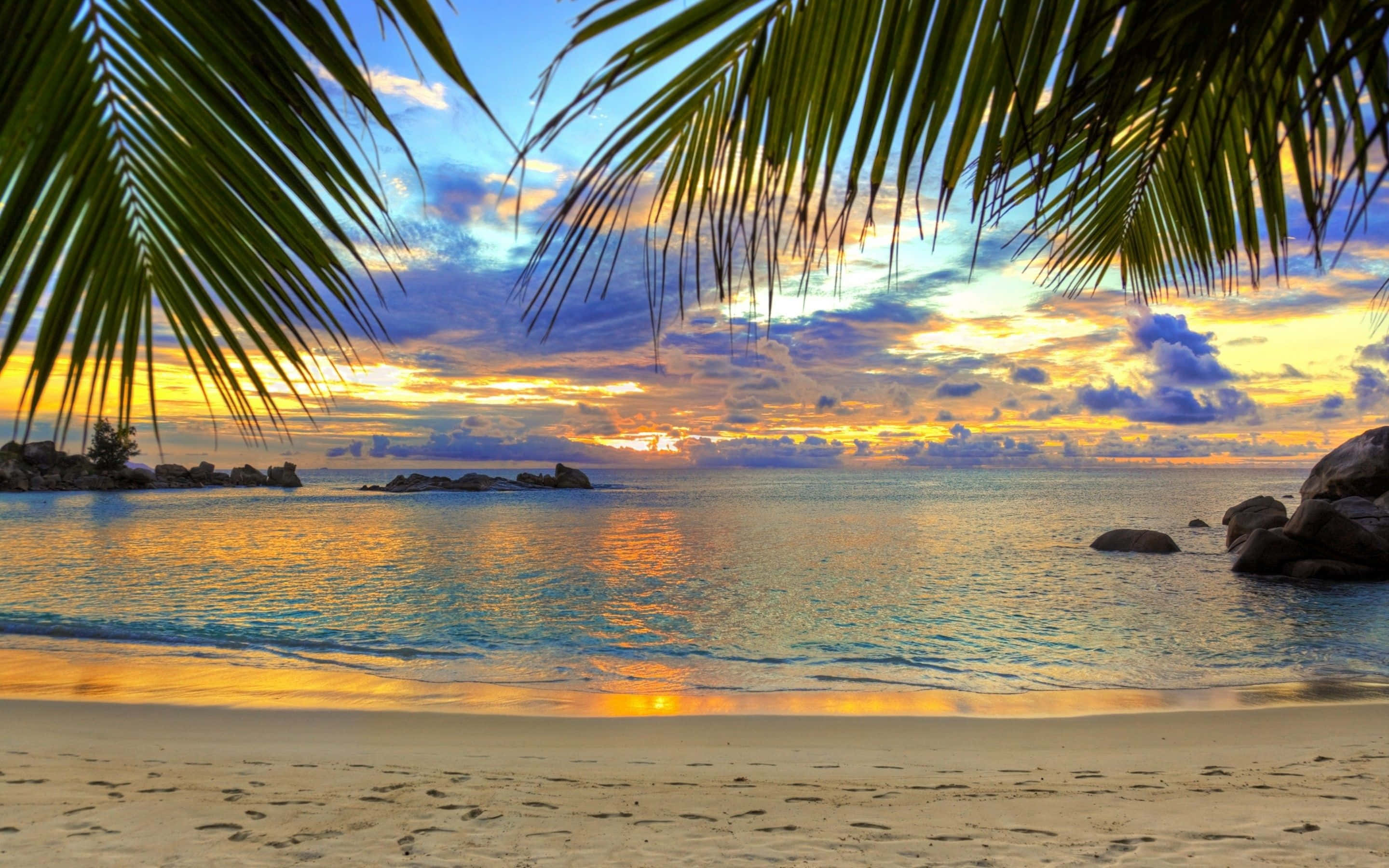 Tropical Vibe, sunset, turquoise waters, 2K Desktop Wallpaper