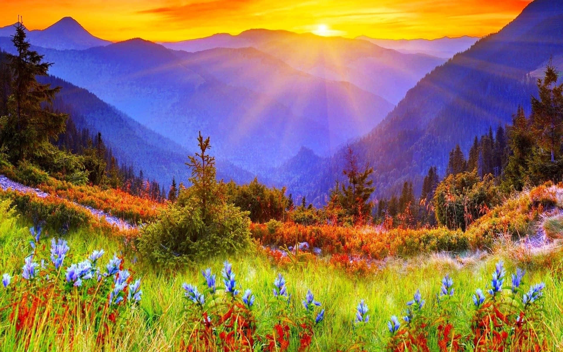 sunrise, mountain peaks, golden light, Full HD Desktop Wallpaper