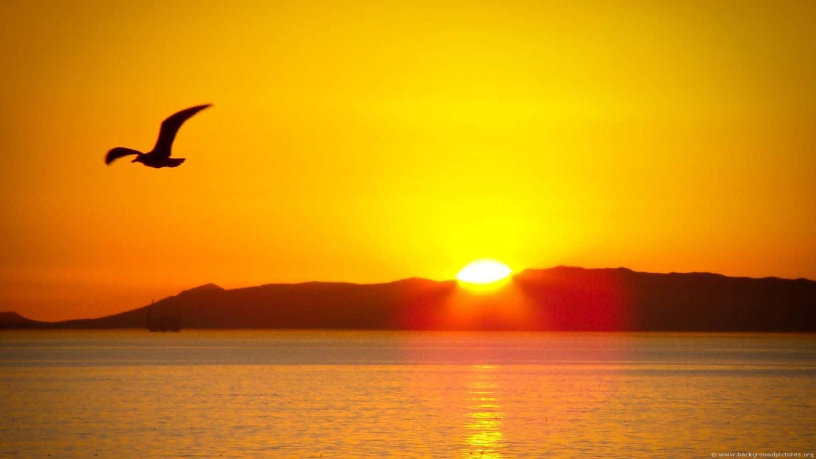 sunrise desktop, fiery orange sunset, calm water, HD Desktop Wallpaper